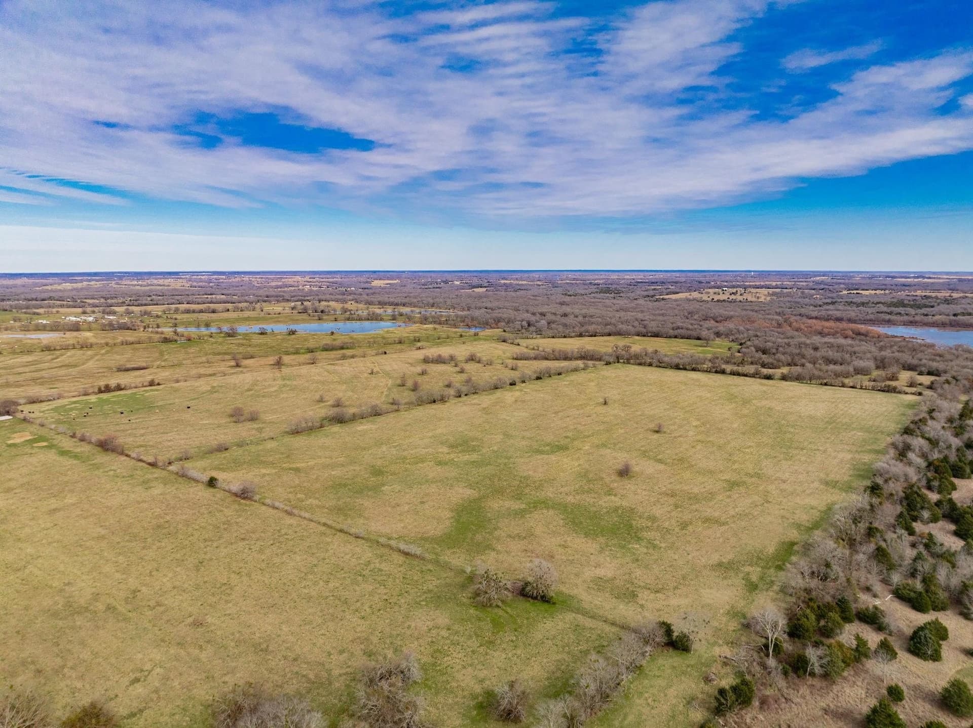 161.65 acres in Rains County - photo 7