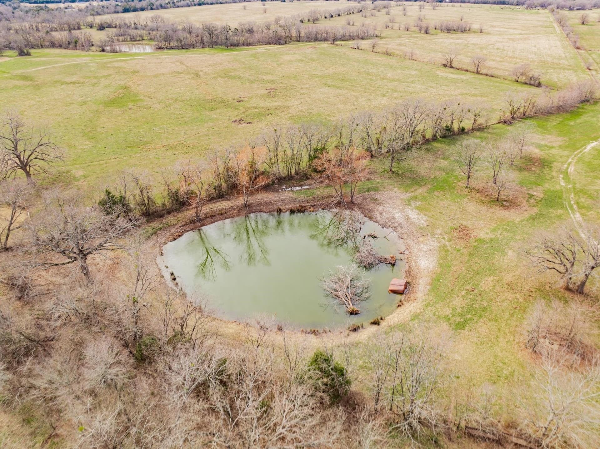 161.65 acres in Rains County - photo 14