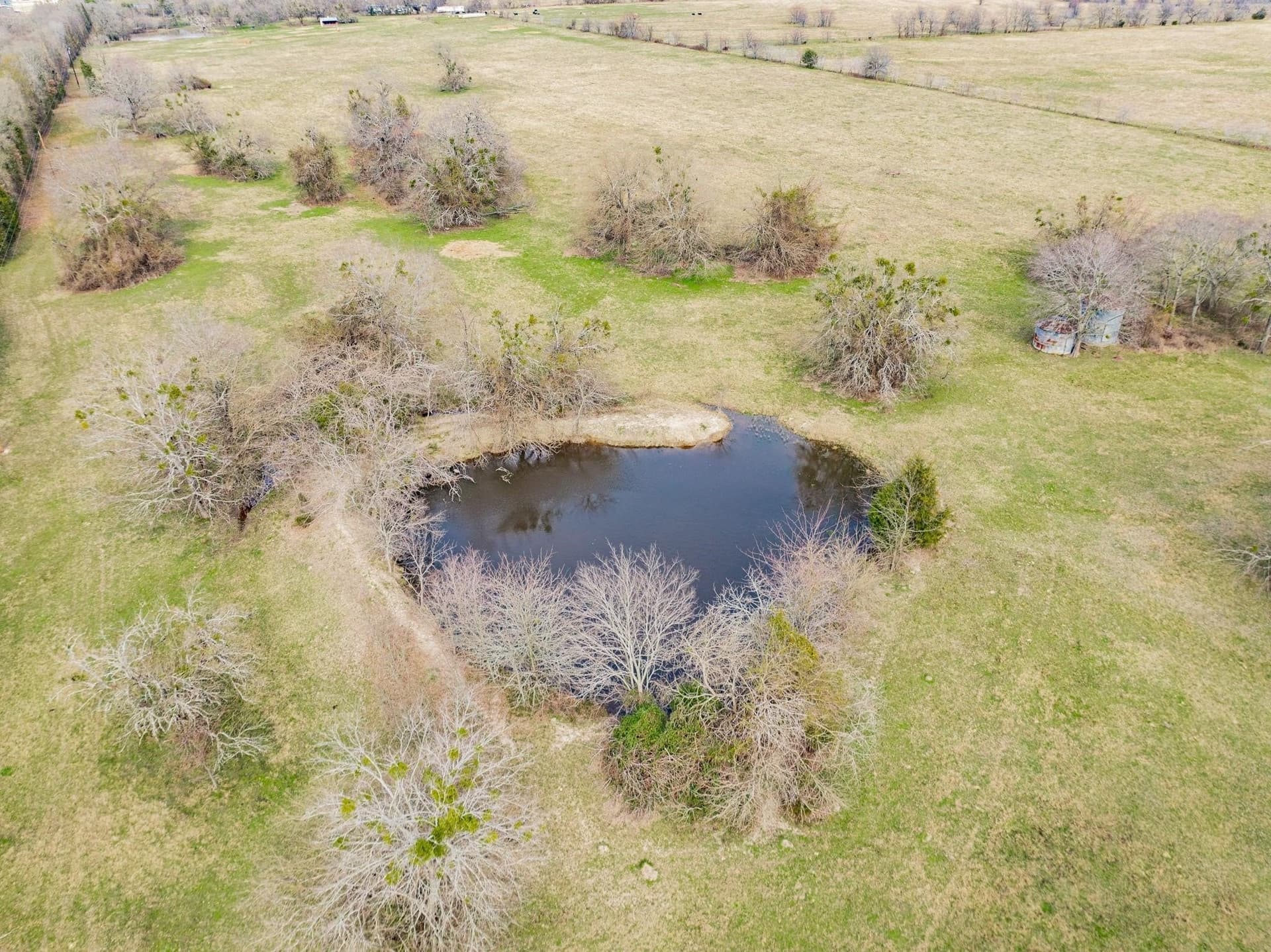161.65 acres in Rains County - photo 23