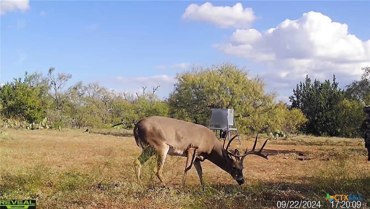 19.36 acres in Mills County - photo 24