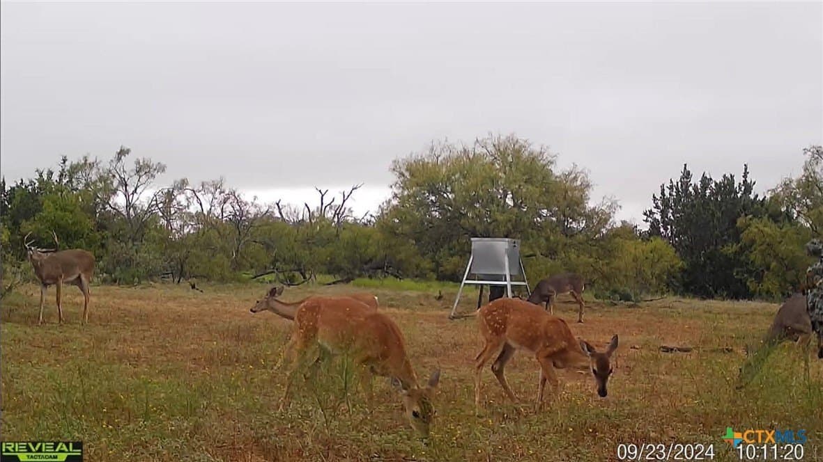 19.36 acres in Mills County - photo 26