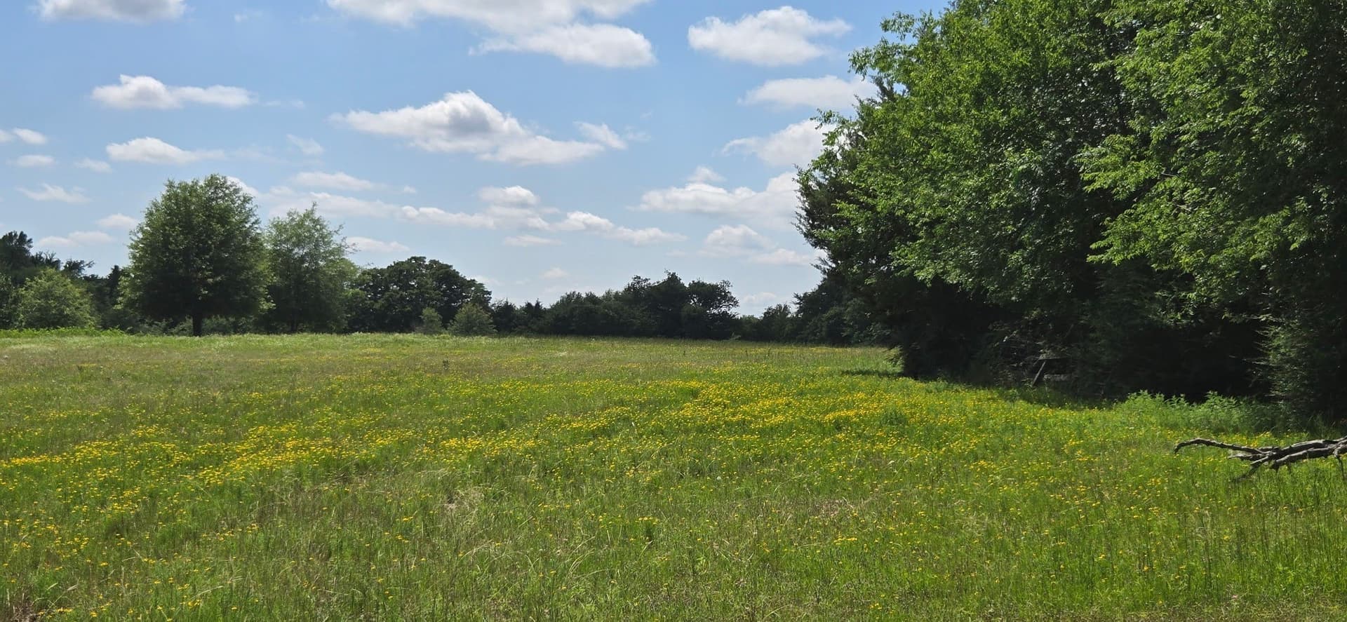 48.27 acres in Henderson County - photo 10