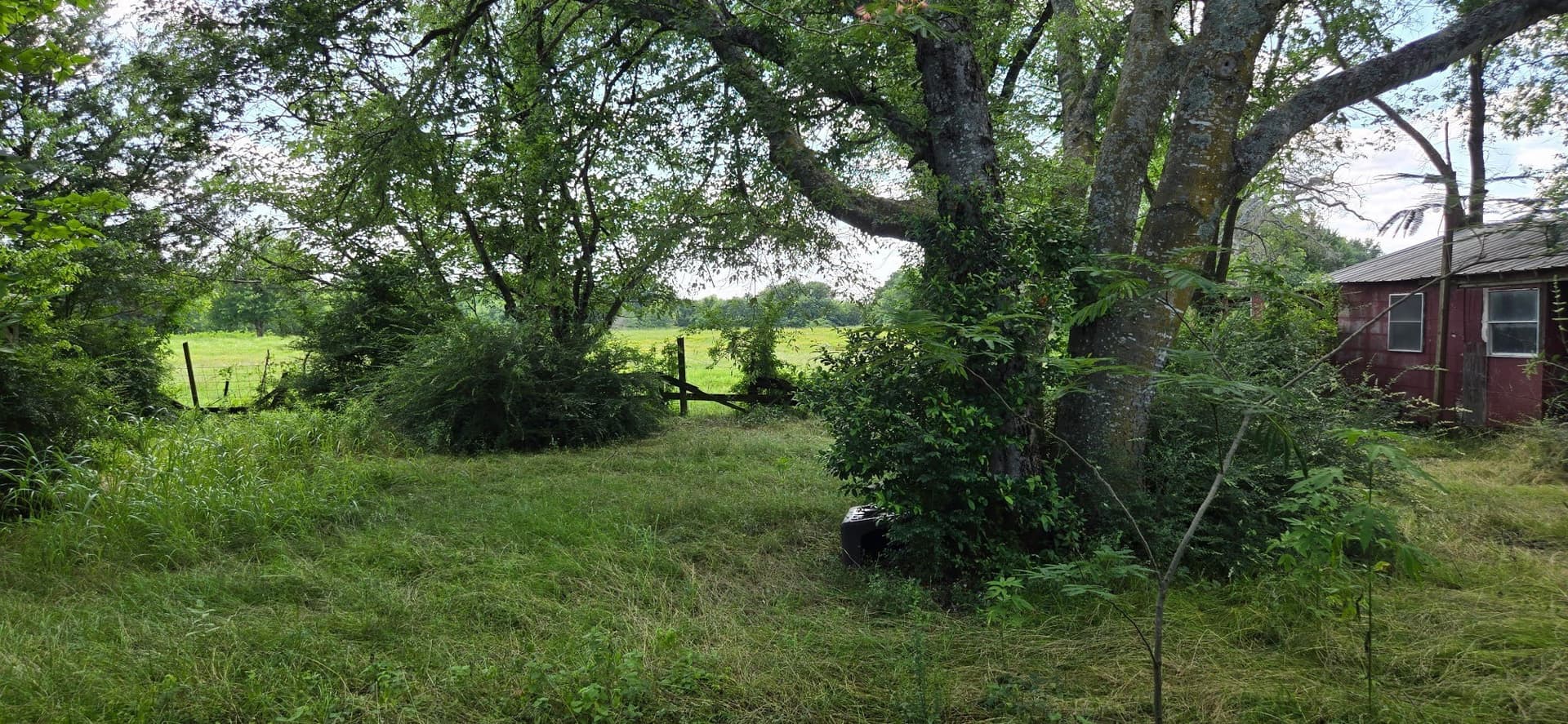 48.27 acres in Henderson County - photo 12