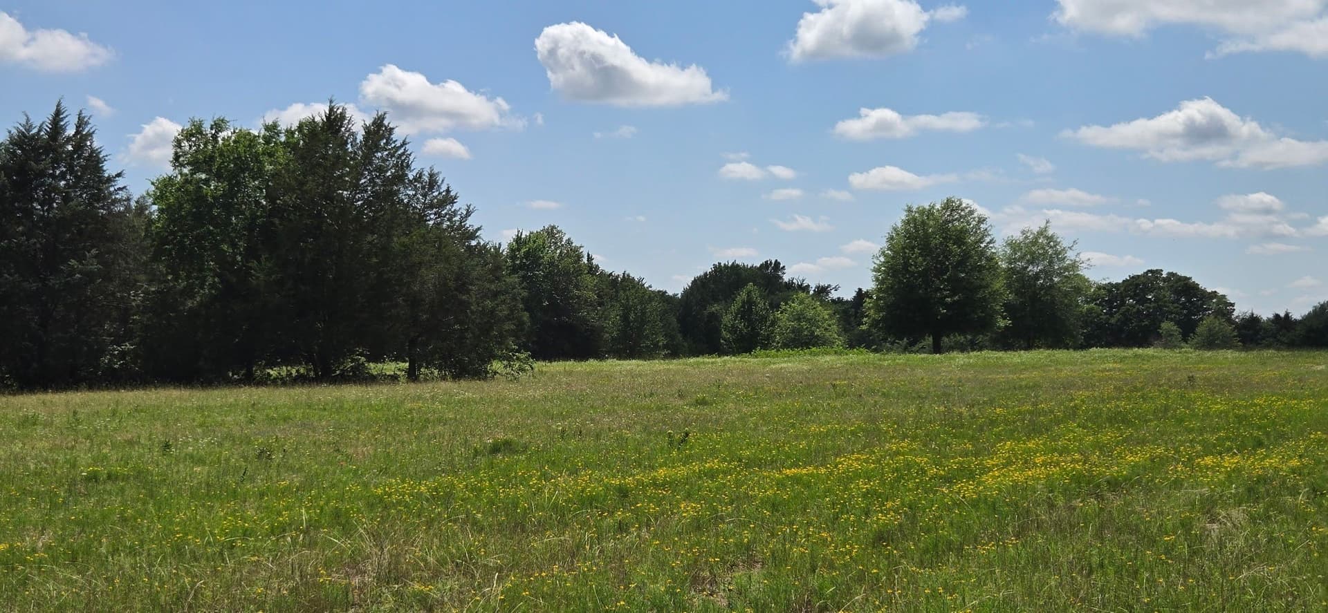 48.27 acres in Henderson County - photo 3