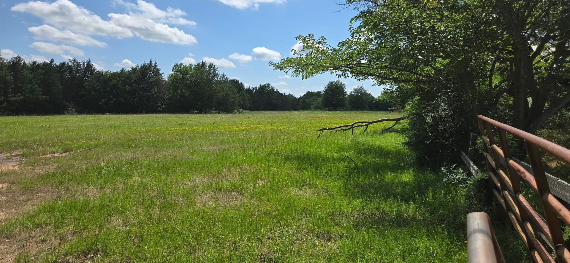 48.27 acres in Henderson County - photo 5