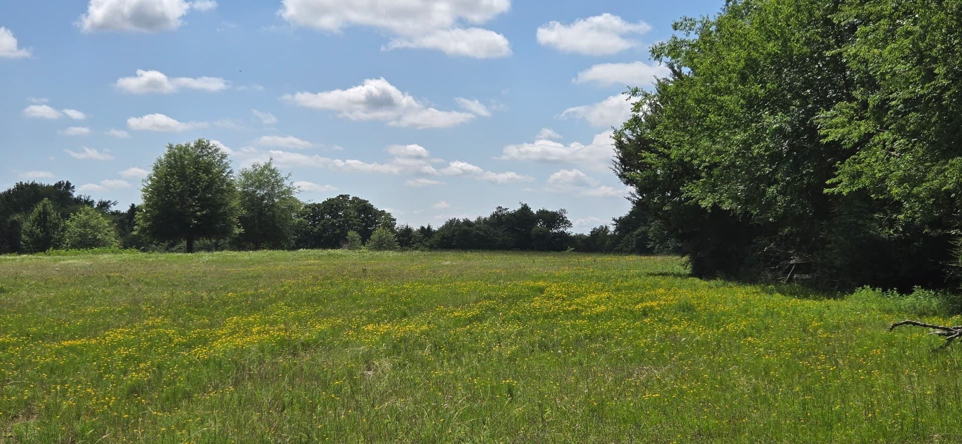 48.27 acres in Henderson County - photo 2