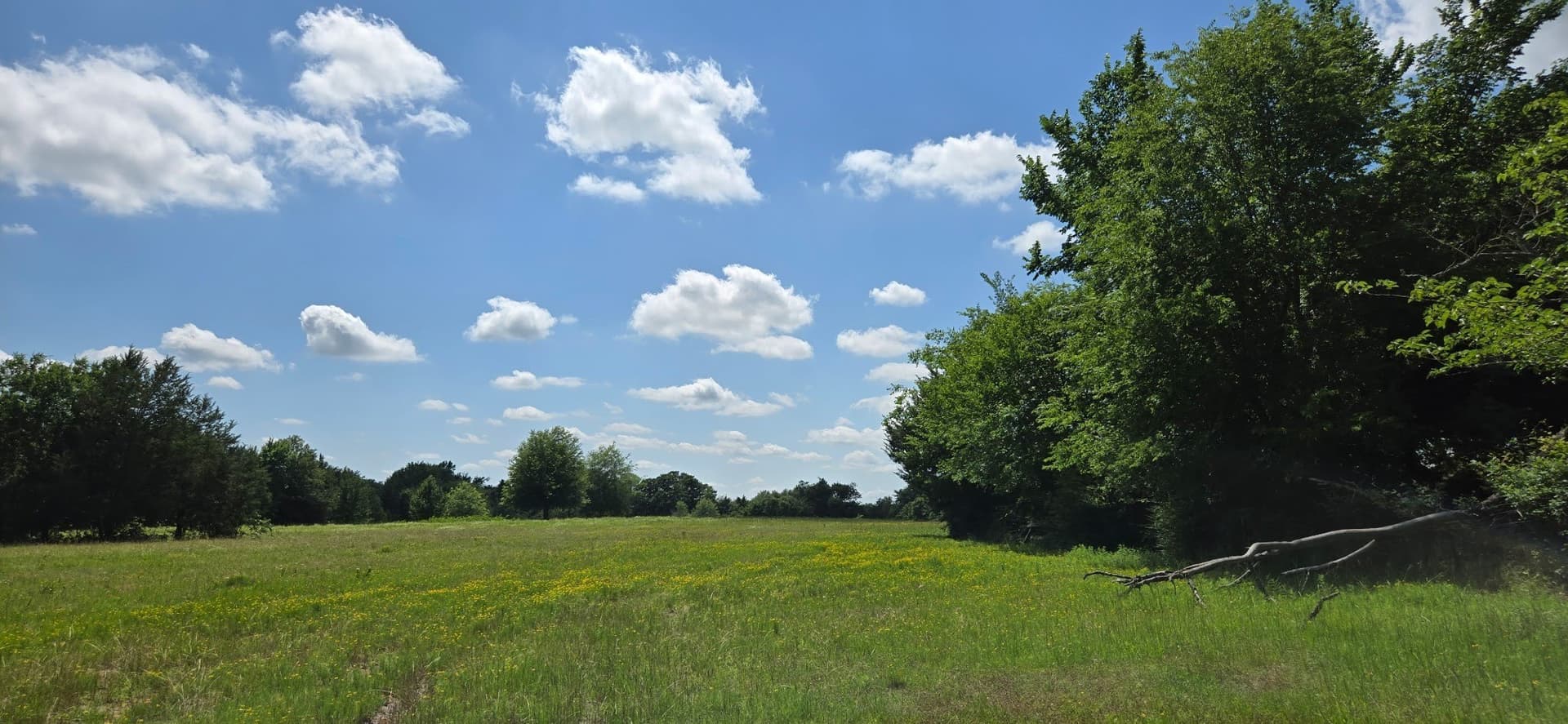 48.27 acres in Henderson County