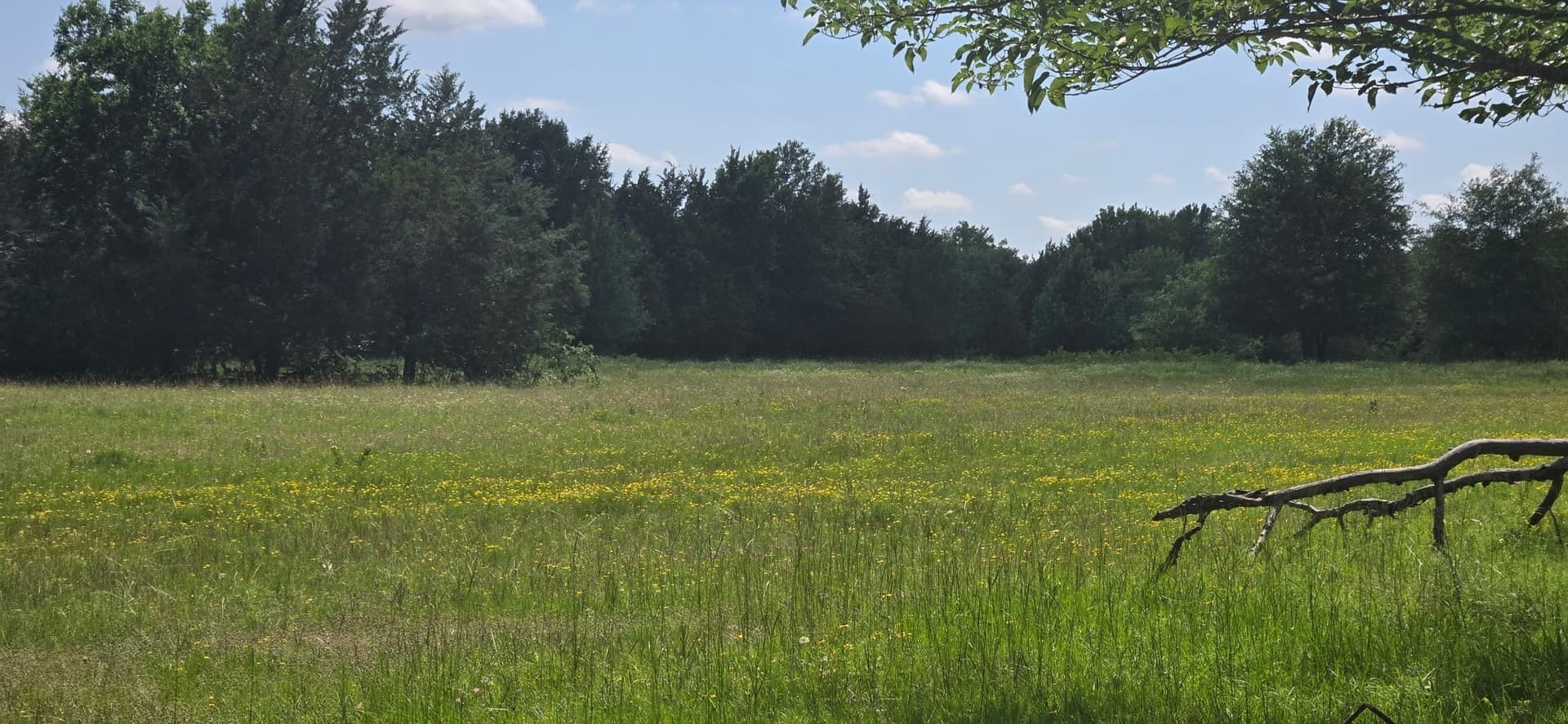 48.27 acres in Henderson County - photo 6