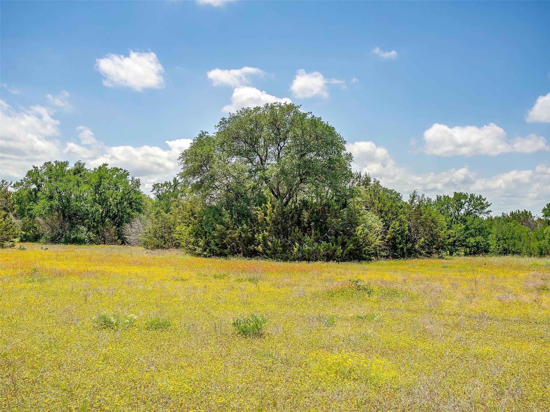 145.12 acres in Johnson County - photo 7