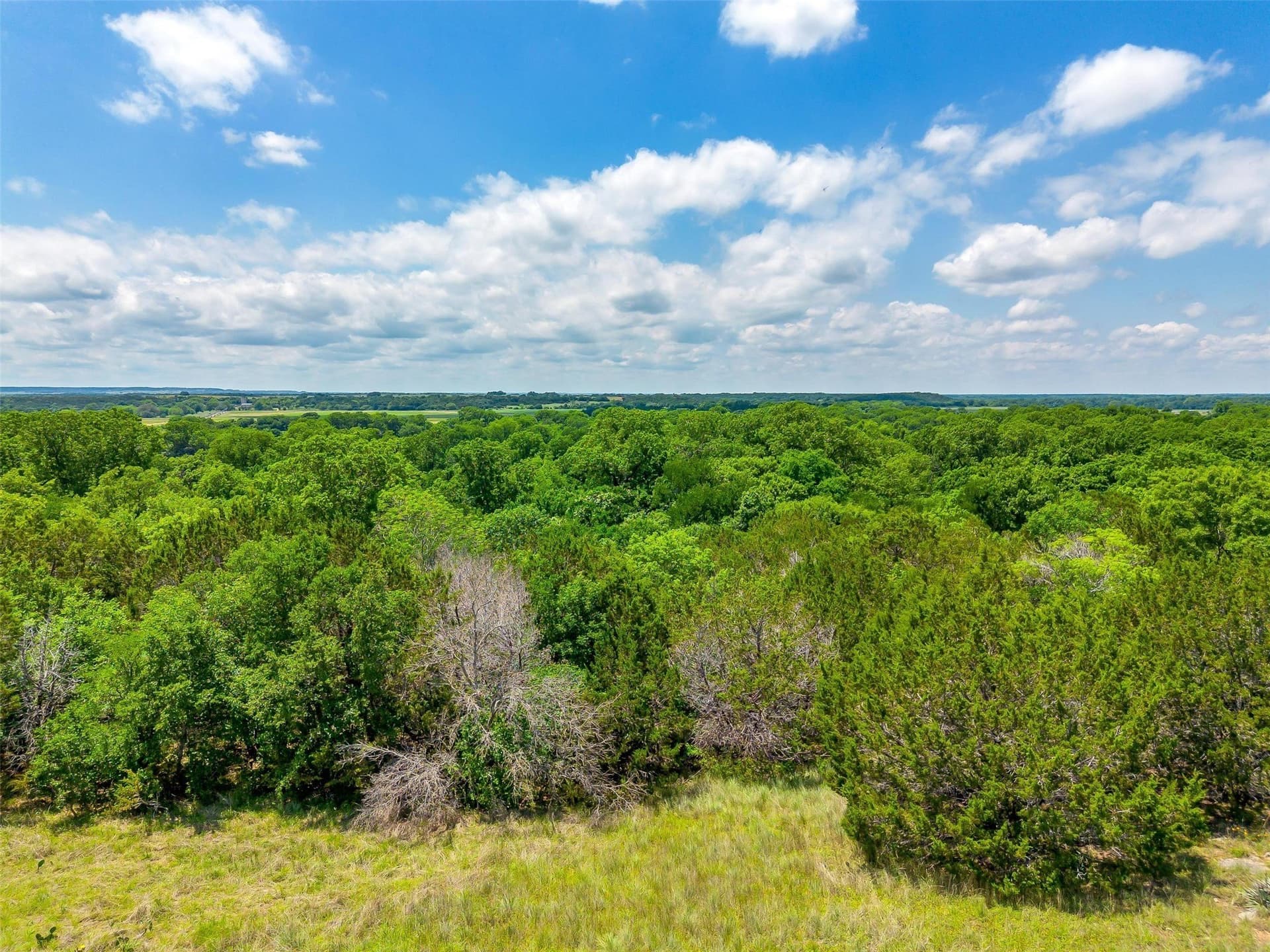 145.12 acres in Johnson County - photo 32