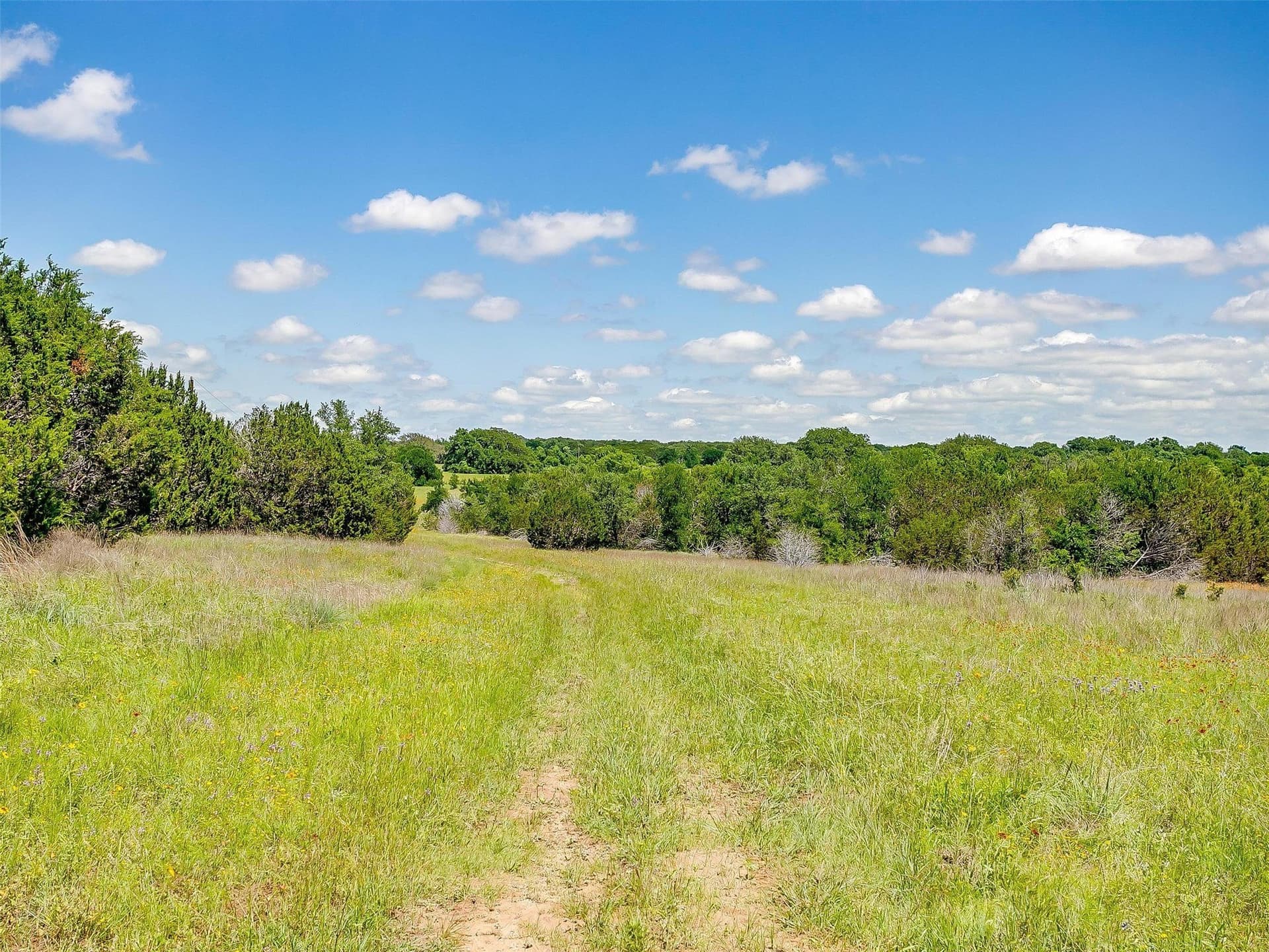 145.12 acres in Johnson County - photo 24