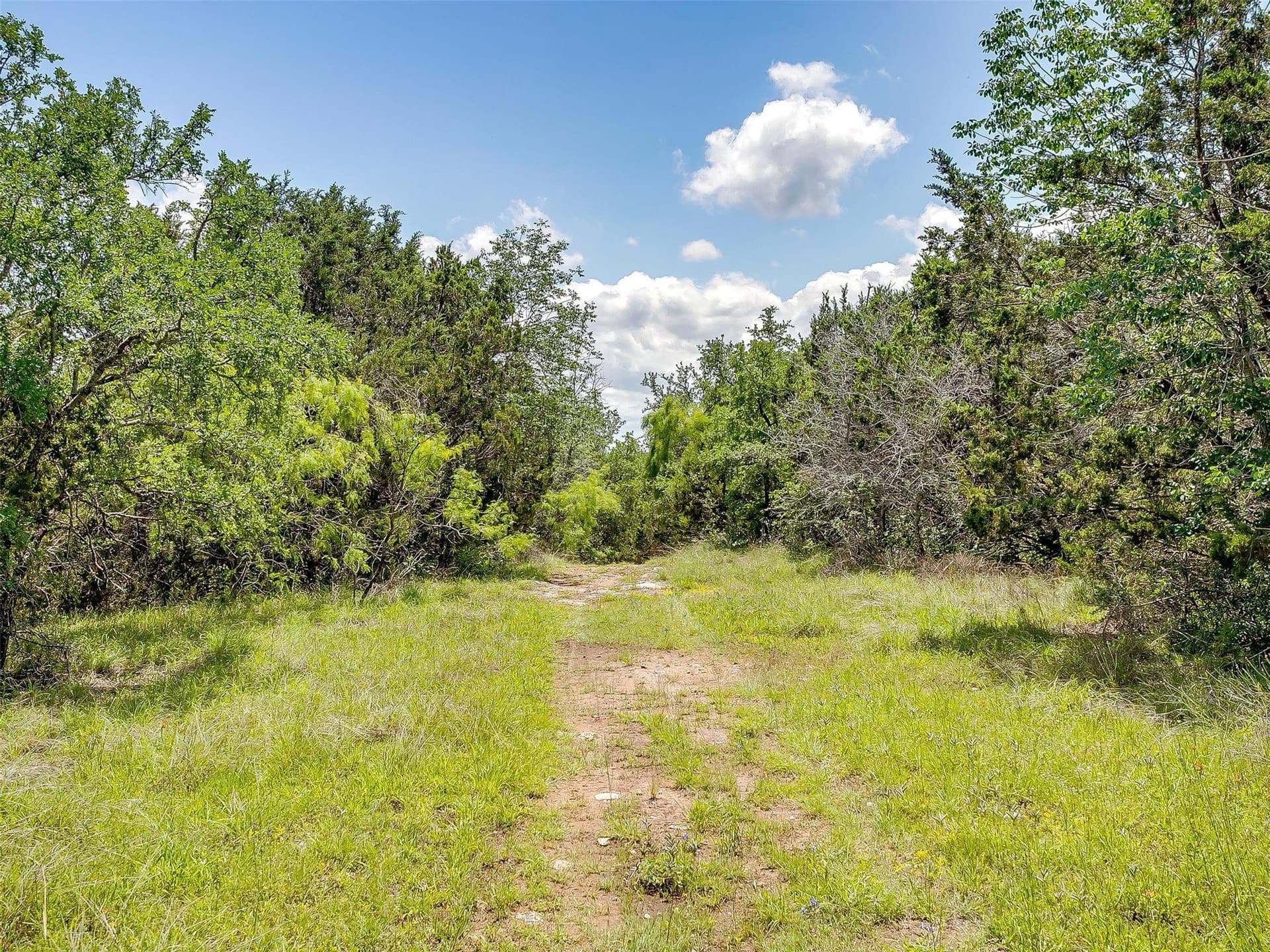145.12 acres in Johnson County - photo 22