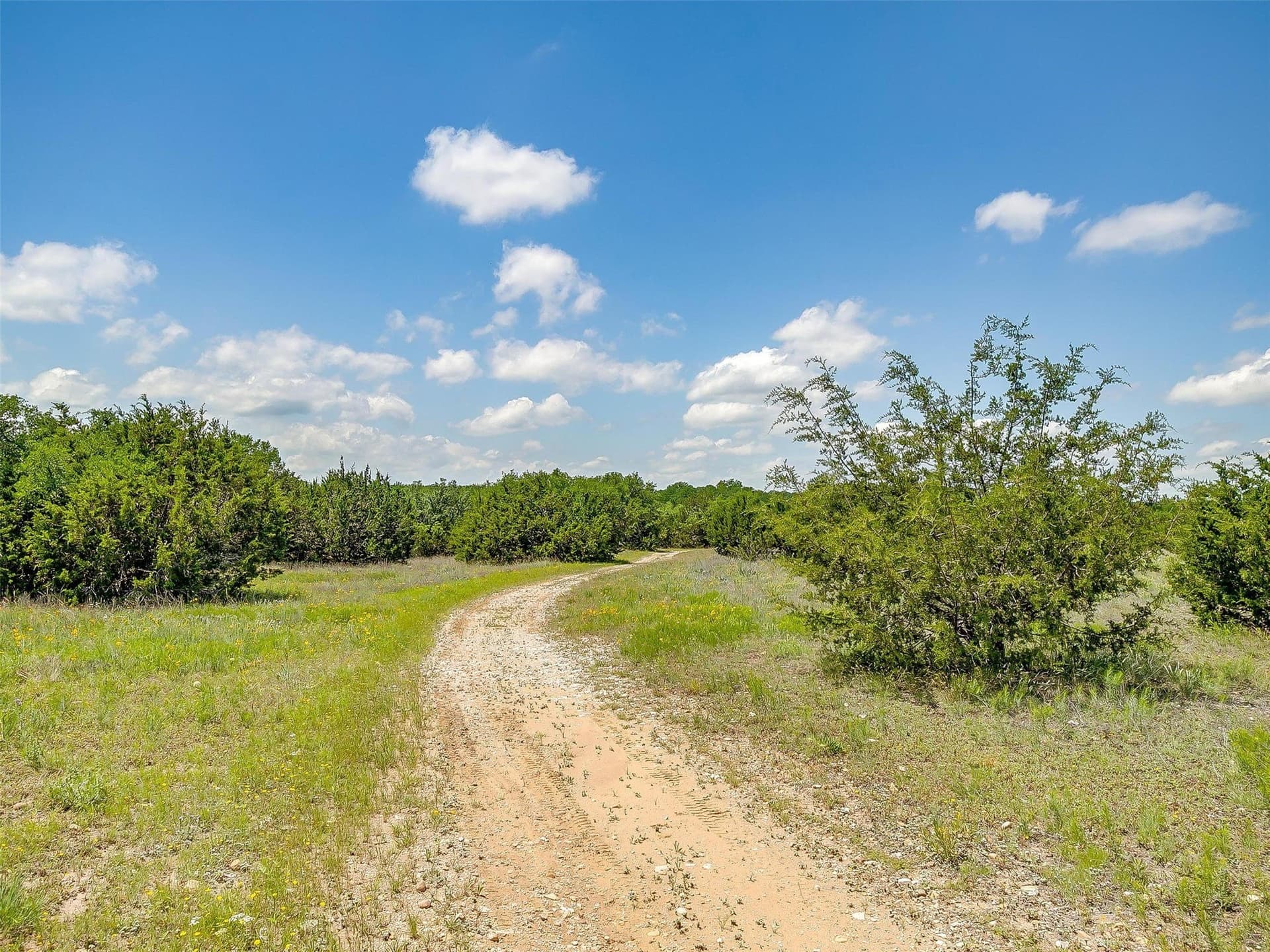 145.12 acres in Johnson County - photo 27