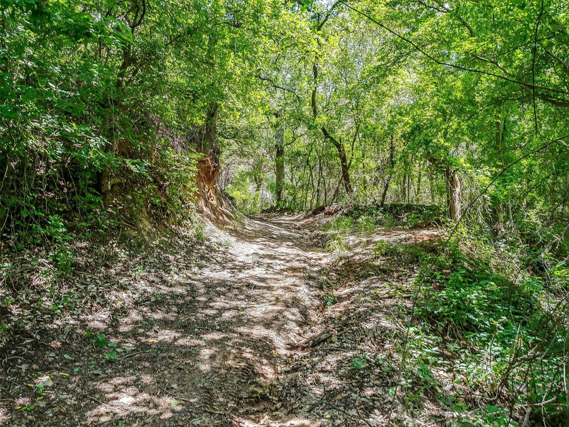 145.12 acres in Johnson County - photo 15