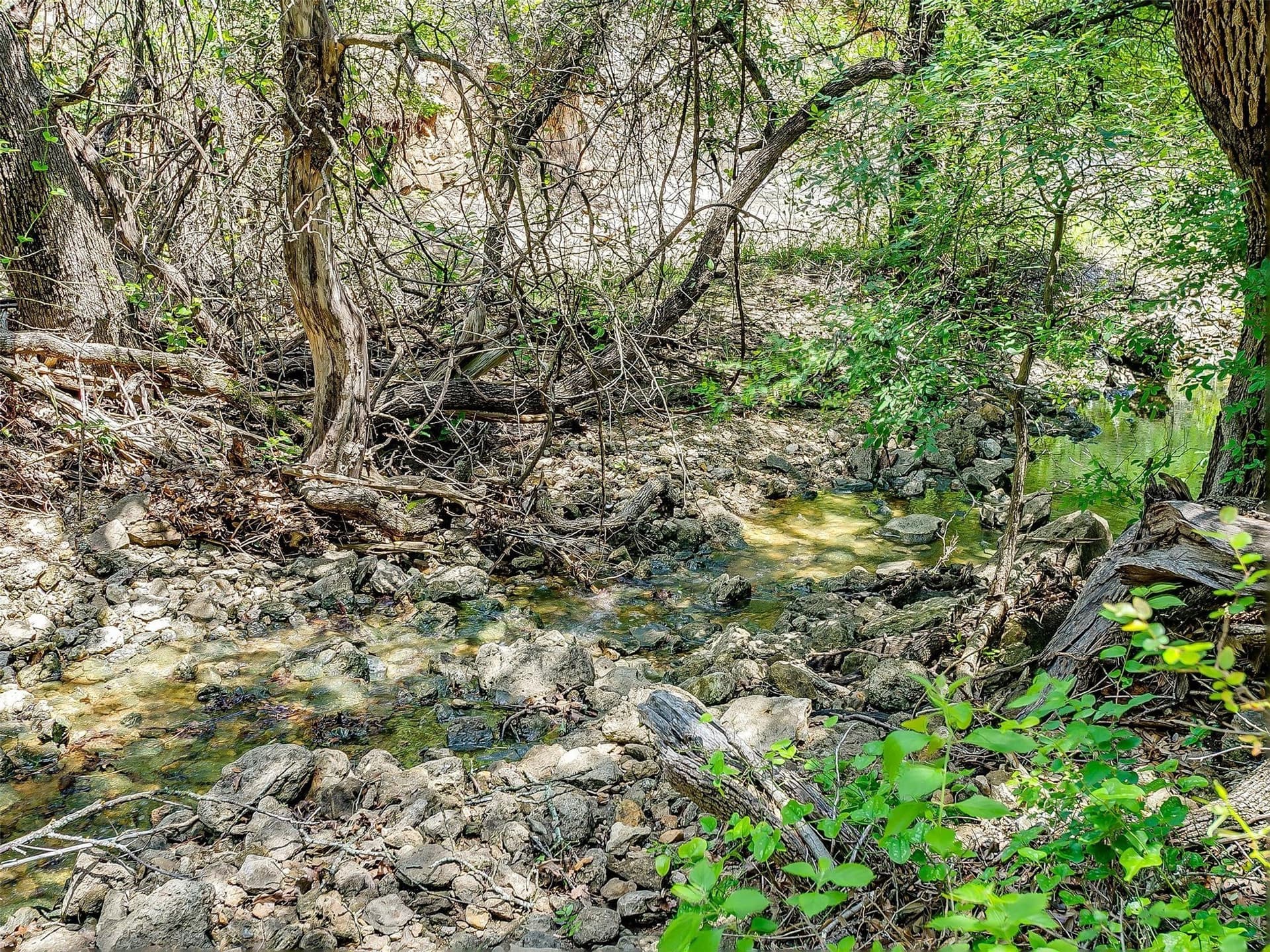 145.12 acres in Johnson County - photo 19