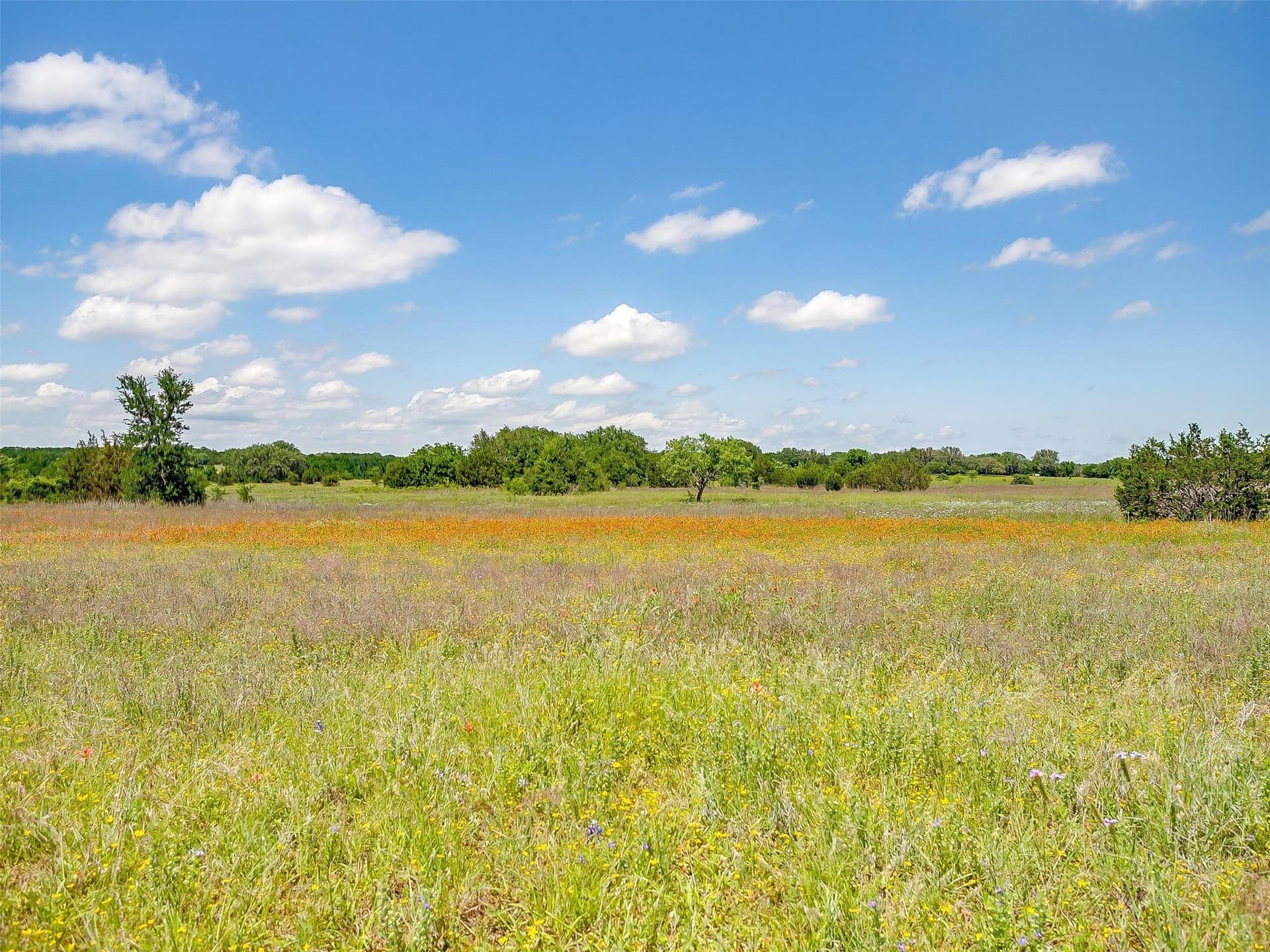 145.12 acres in Johnson County - photo 6