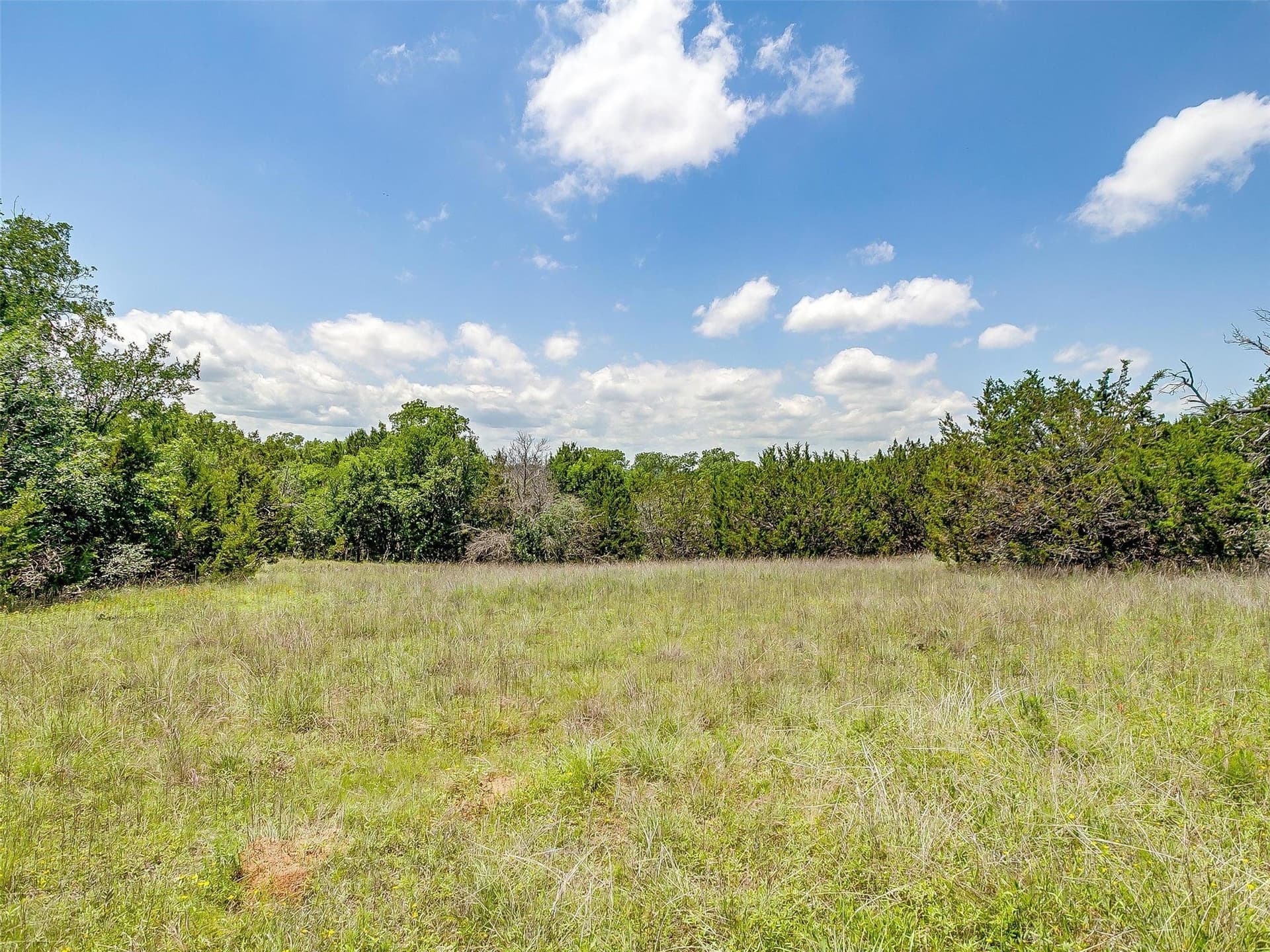 145.12 acres in Johnson County - photo 8