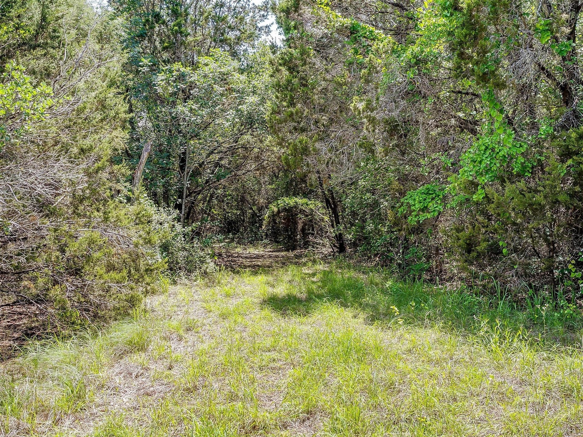 145.12 acres in Johnson County - photo 20