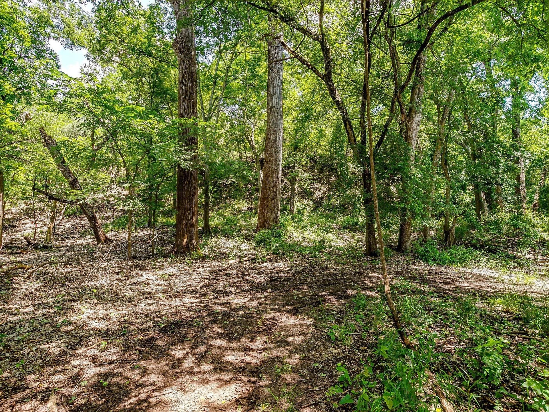 145.12 acres in Johnson County - photo 12