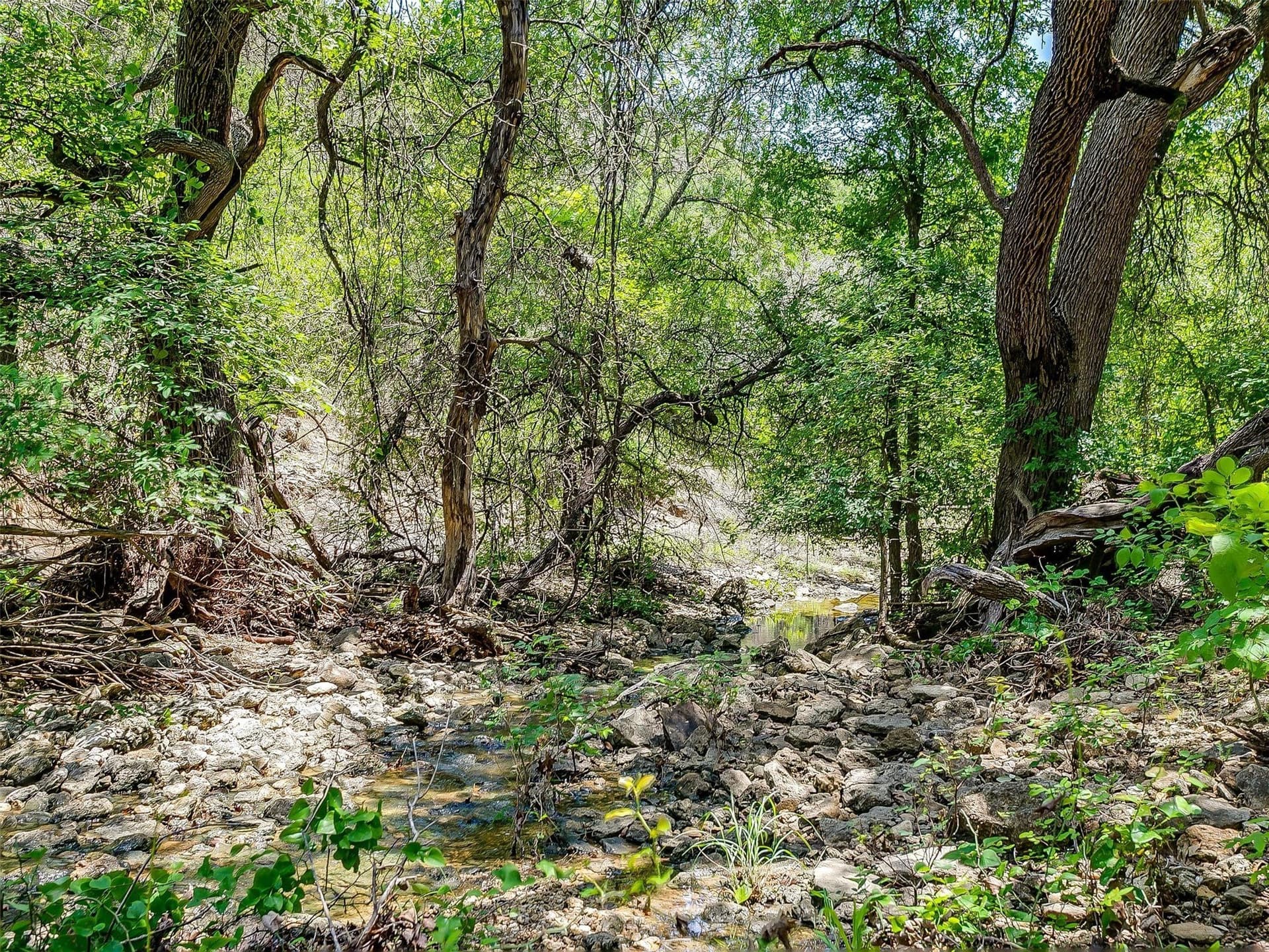 145.12 acres in Johnson County - photo 17
