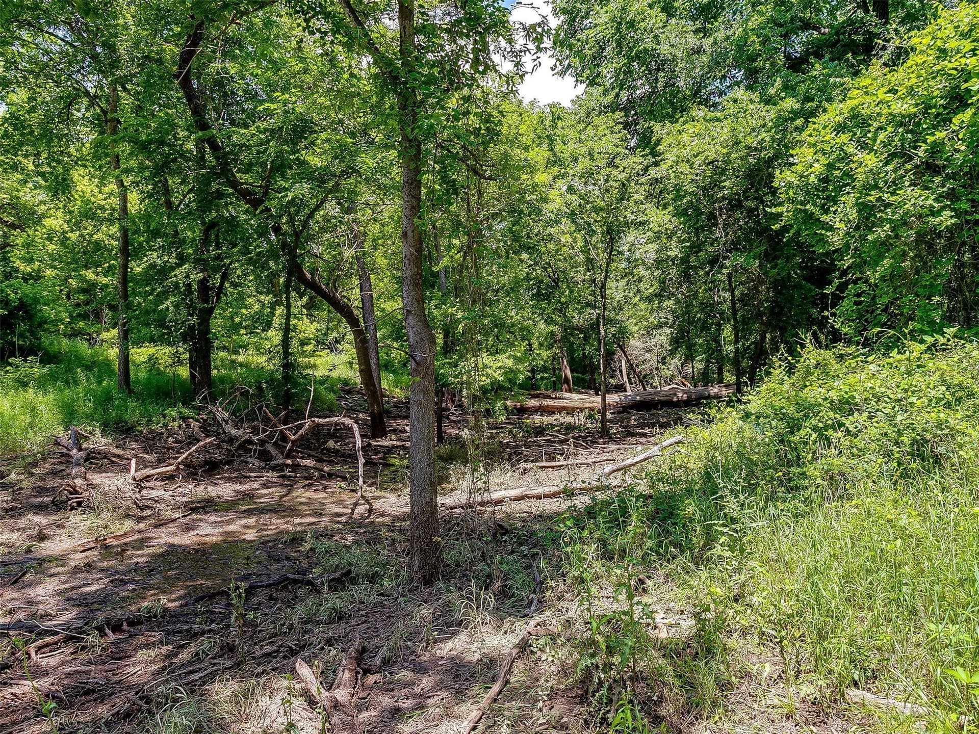 145.12 acres in Johnson County - photo 11
