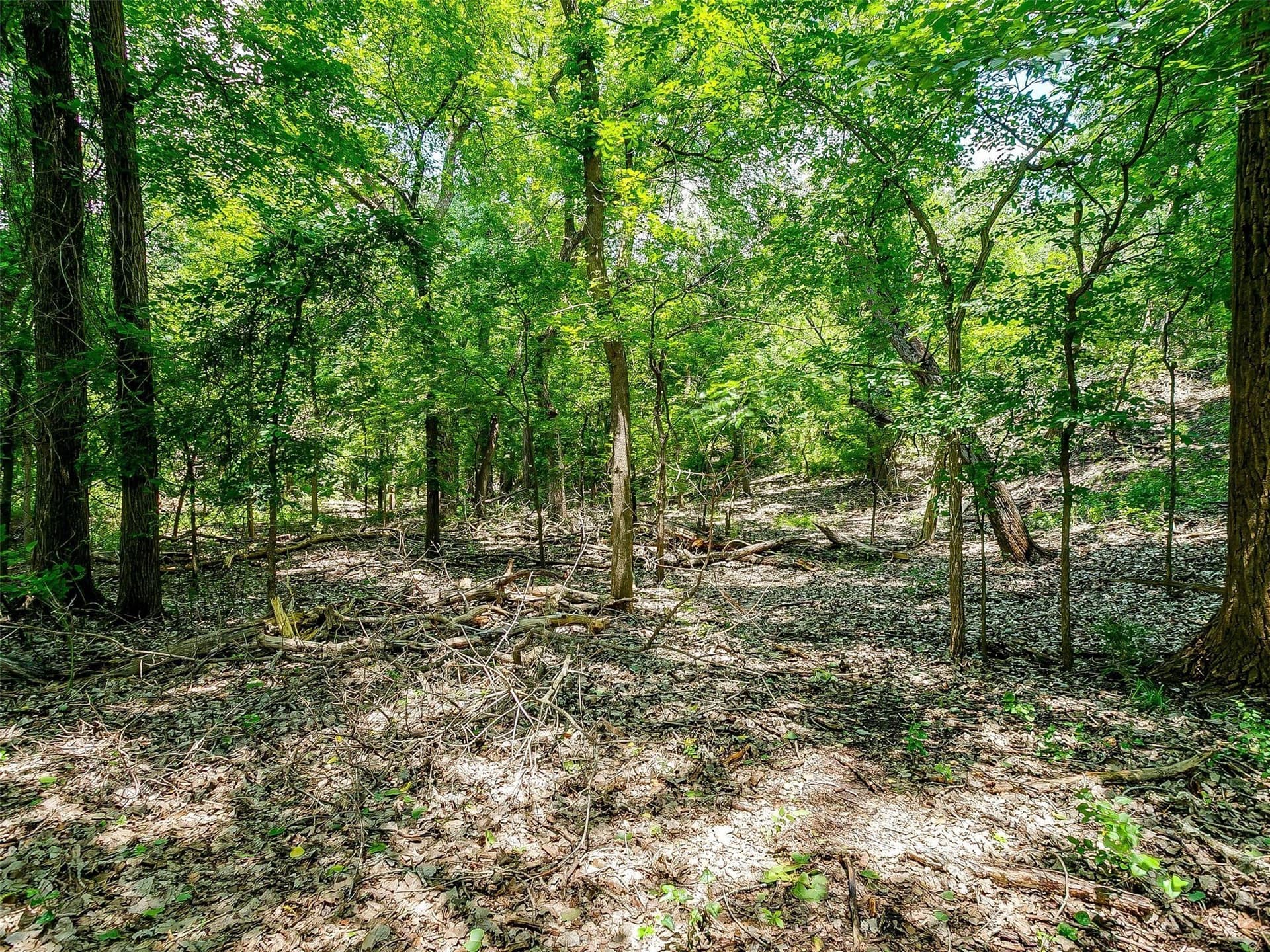 145.12 acres in Johnson County - photo 14