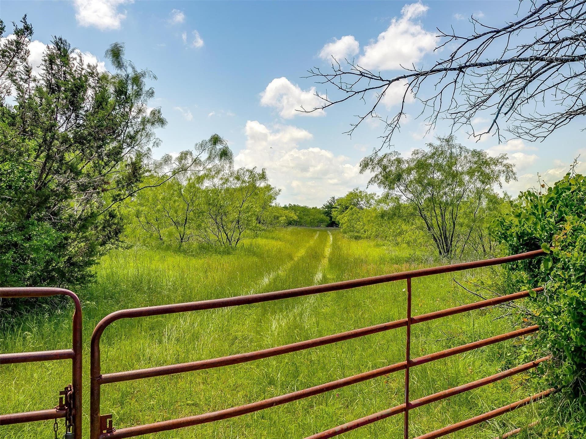 145.12 acres in Johnson County gallery image 4
