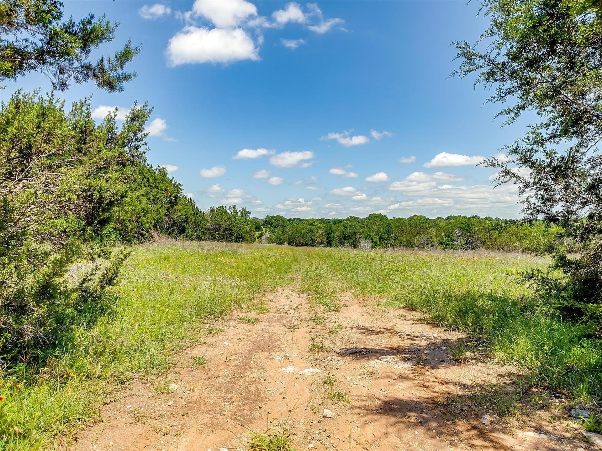 145.12 acres in Johnson County - photo 10