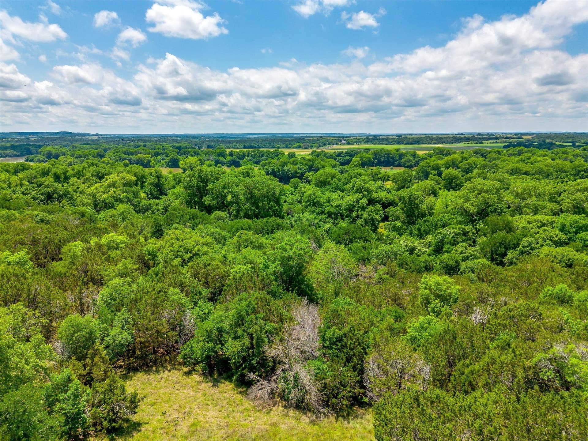 145.12 acres in Johnson County gallery image 3