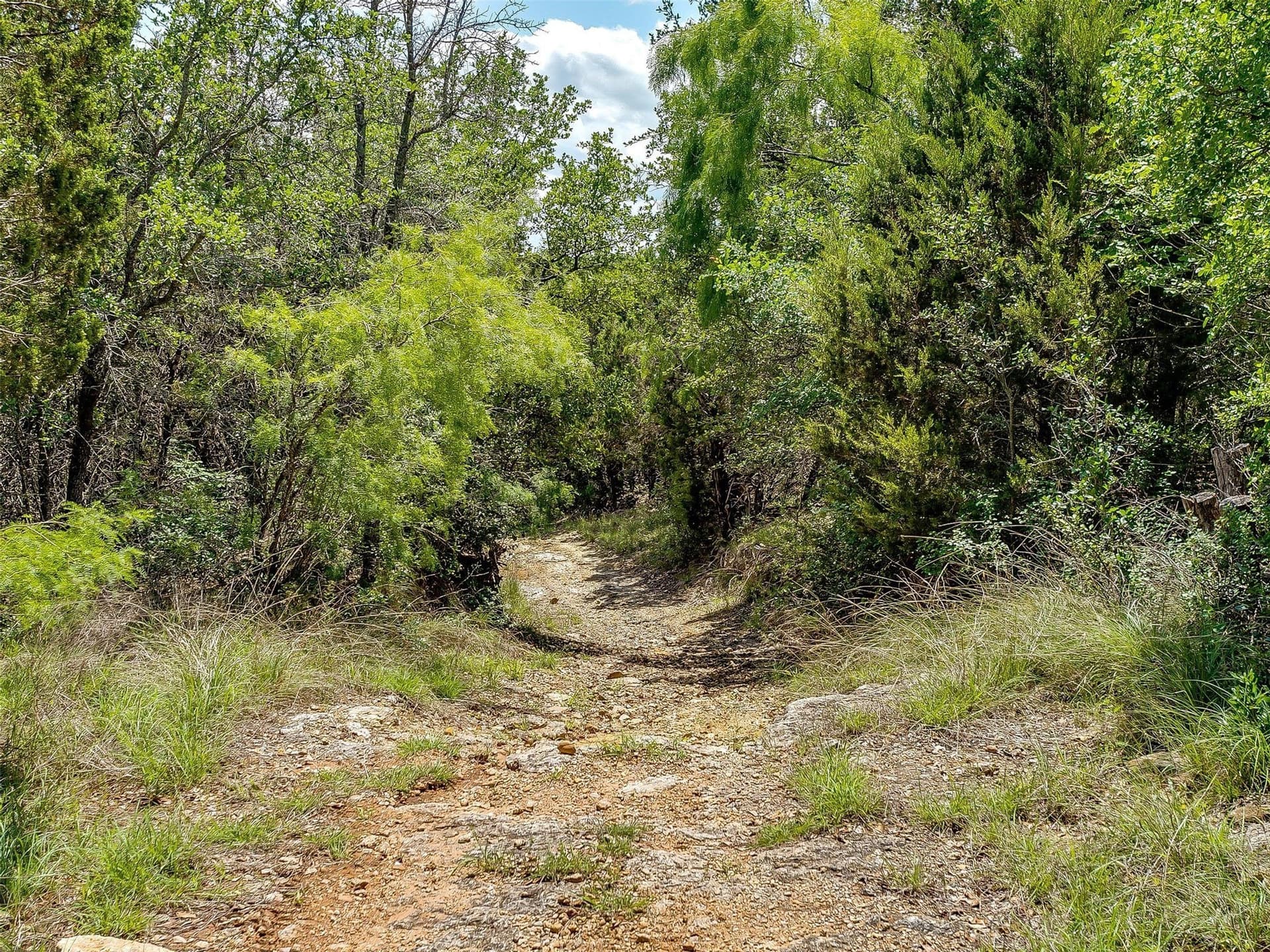 145.12 acres in Johnson County - photo 23