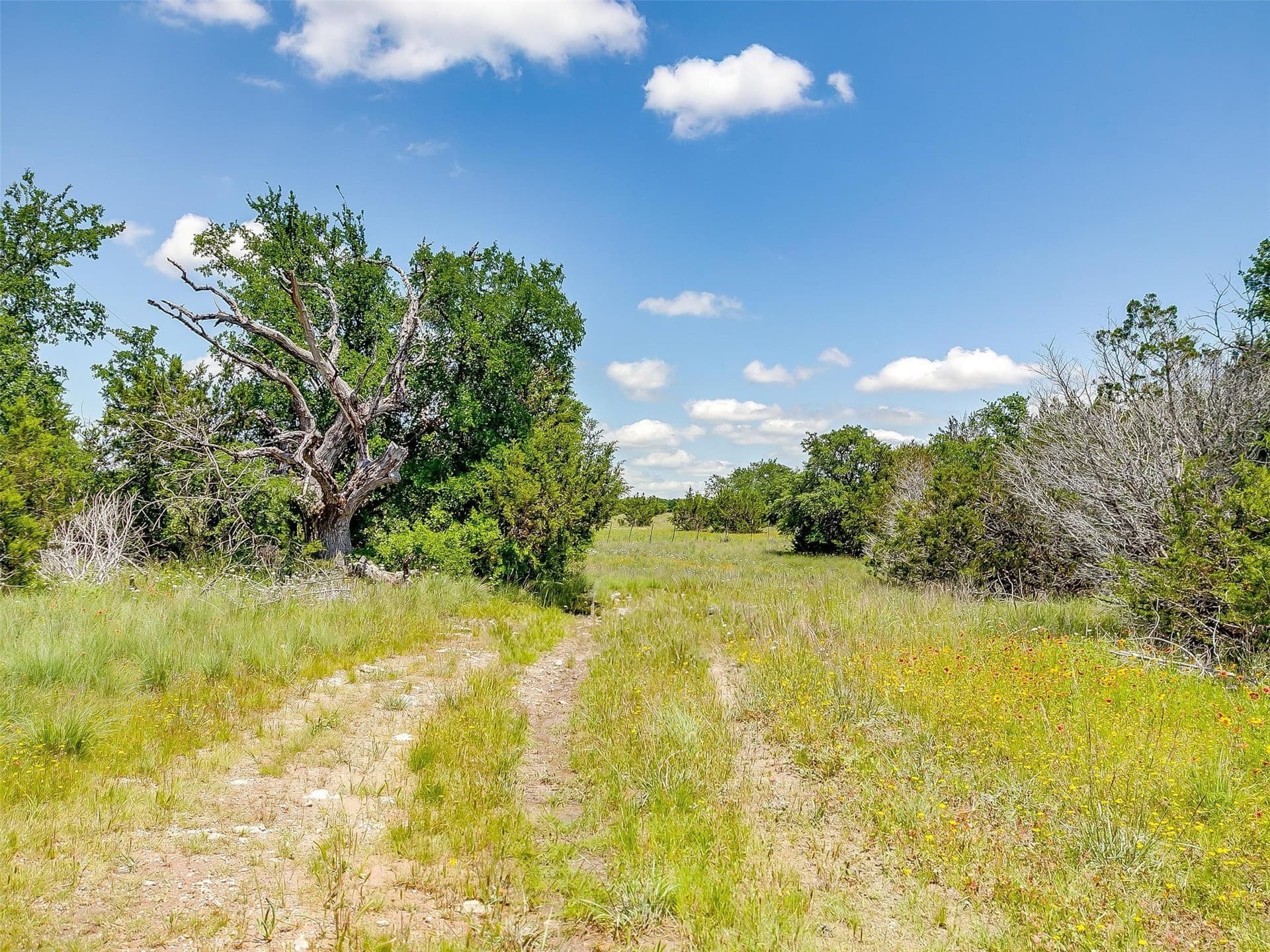 145.12 acres in Johnson County - photo 25