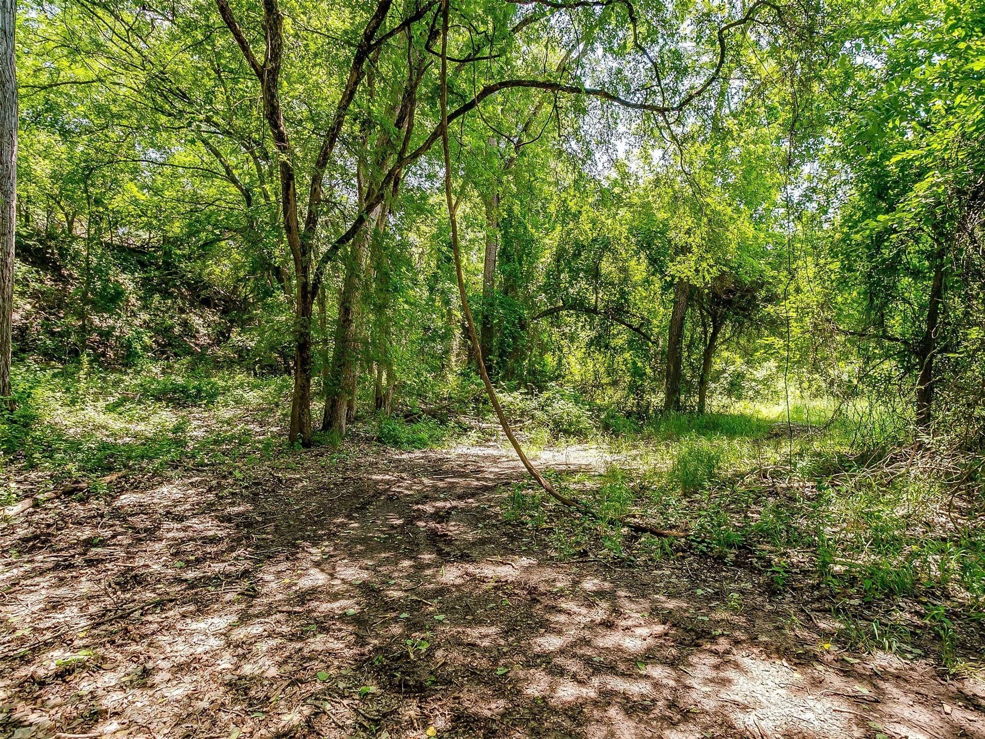 145.12 acres in Johnson County - photo 13