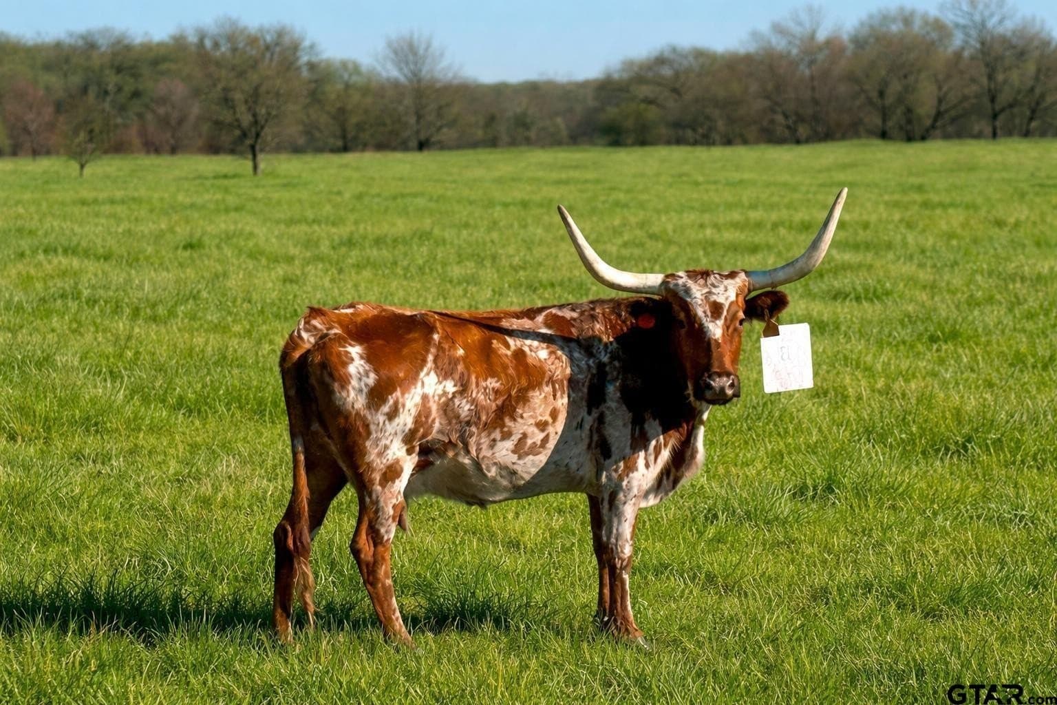 11.02 acres in Anderson County featured view