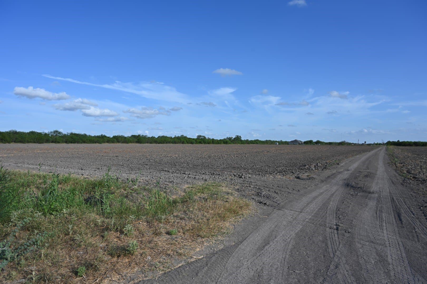 15.05 acres in Cameron (TX) County - photo 5