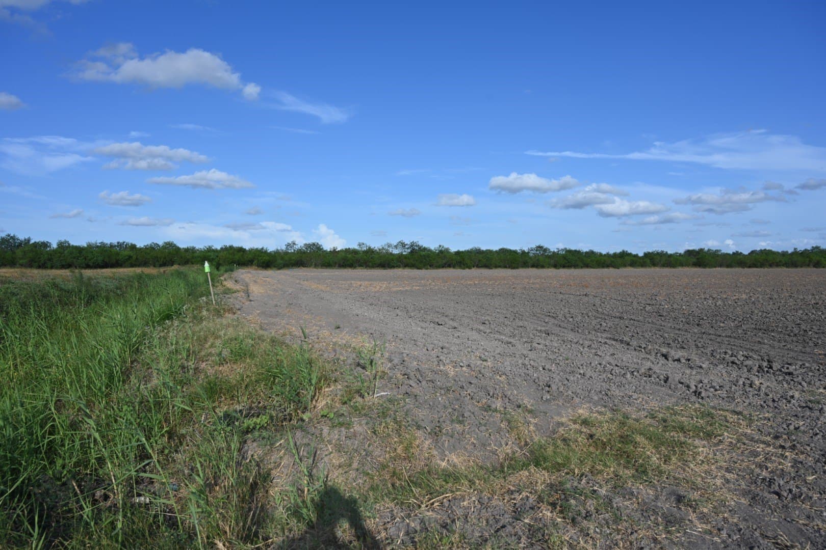 15.05 acres in Cameron (TX) County - photo 6