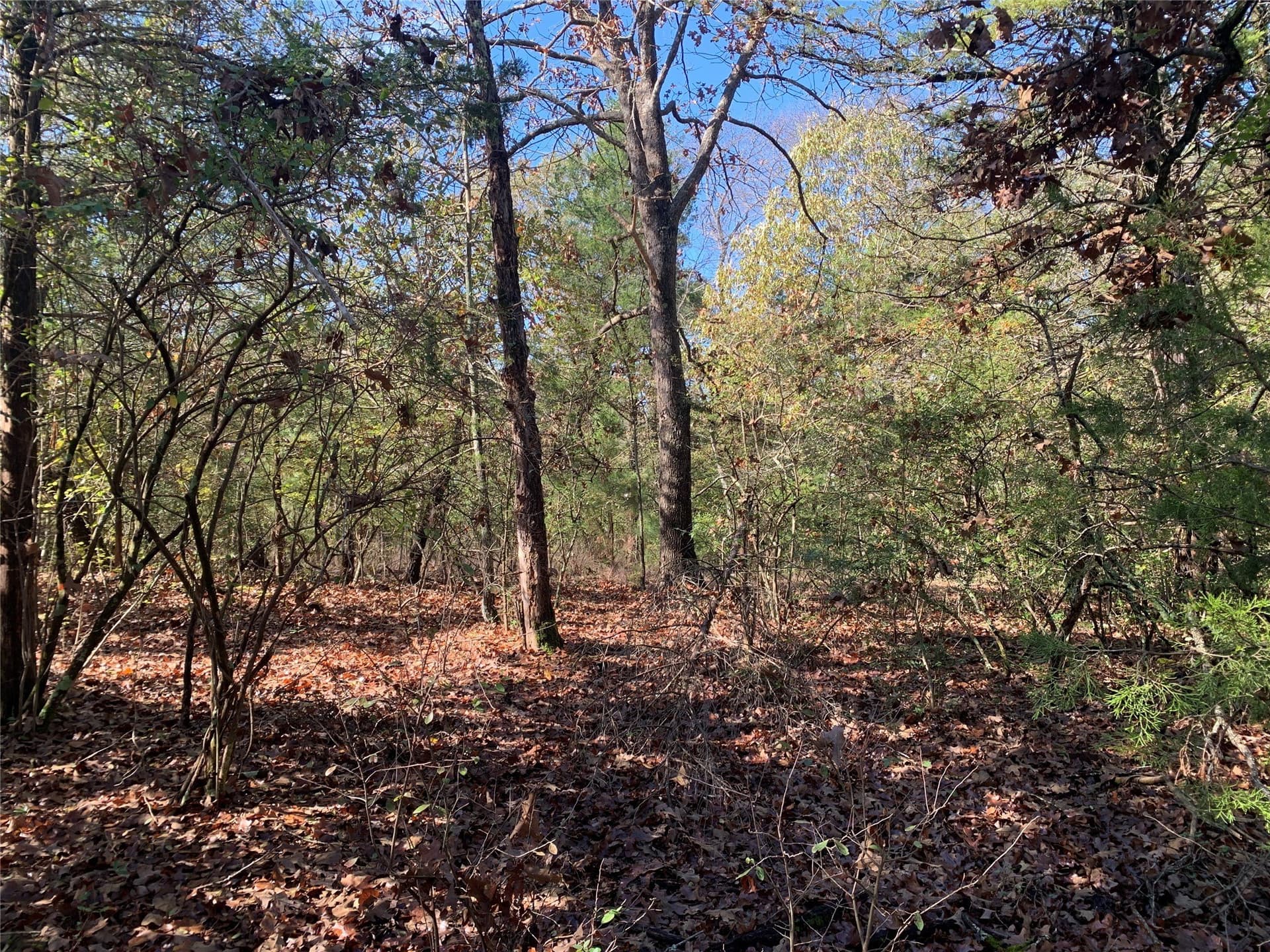 1.13 acres in Henderson County - photo 5