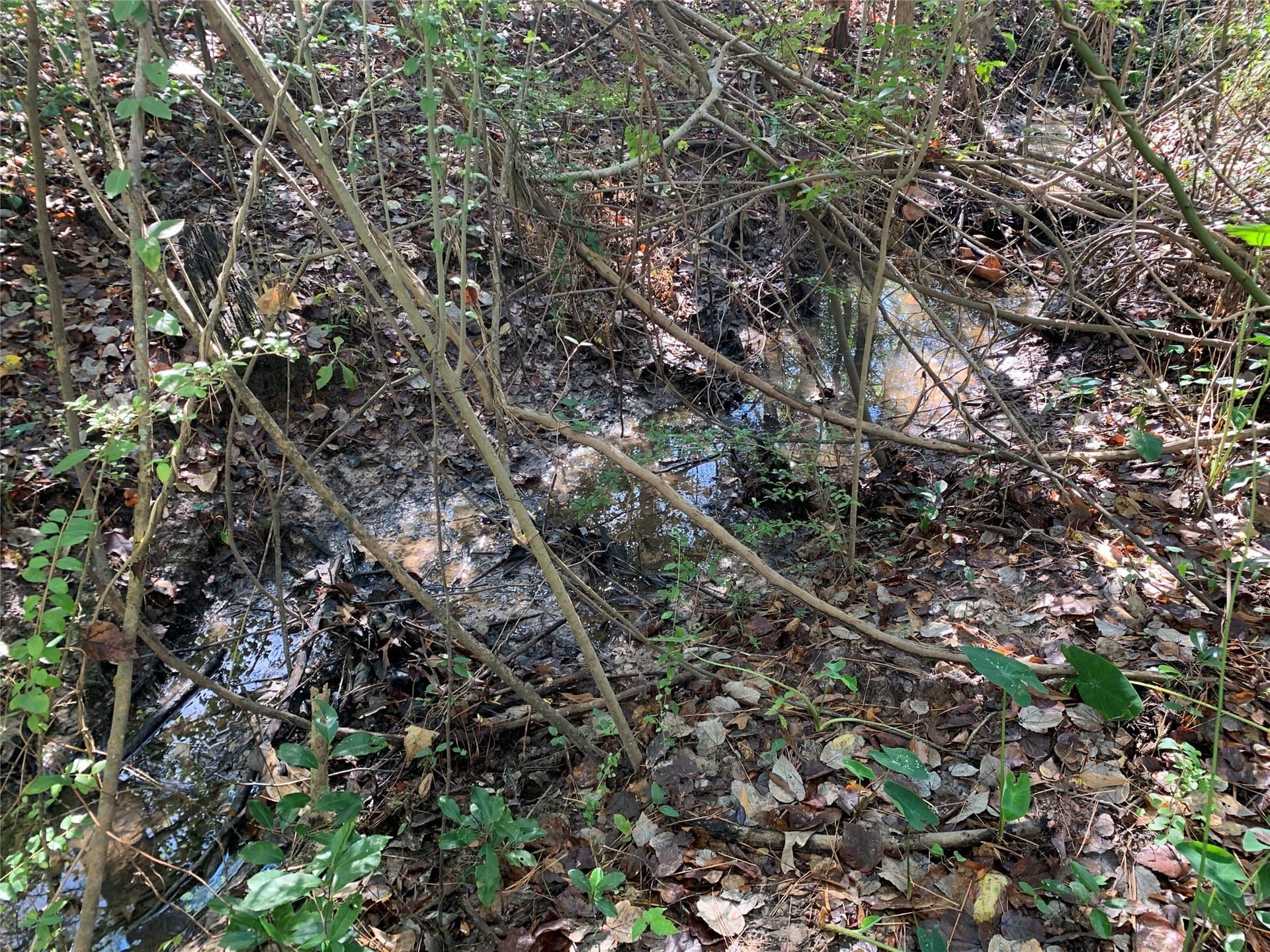 1.13 acres in Henderson County - photo 6