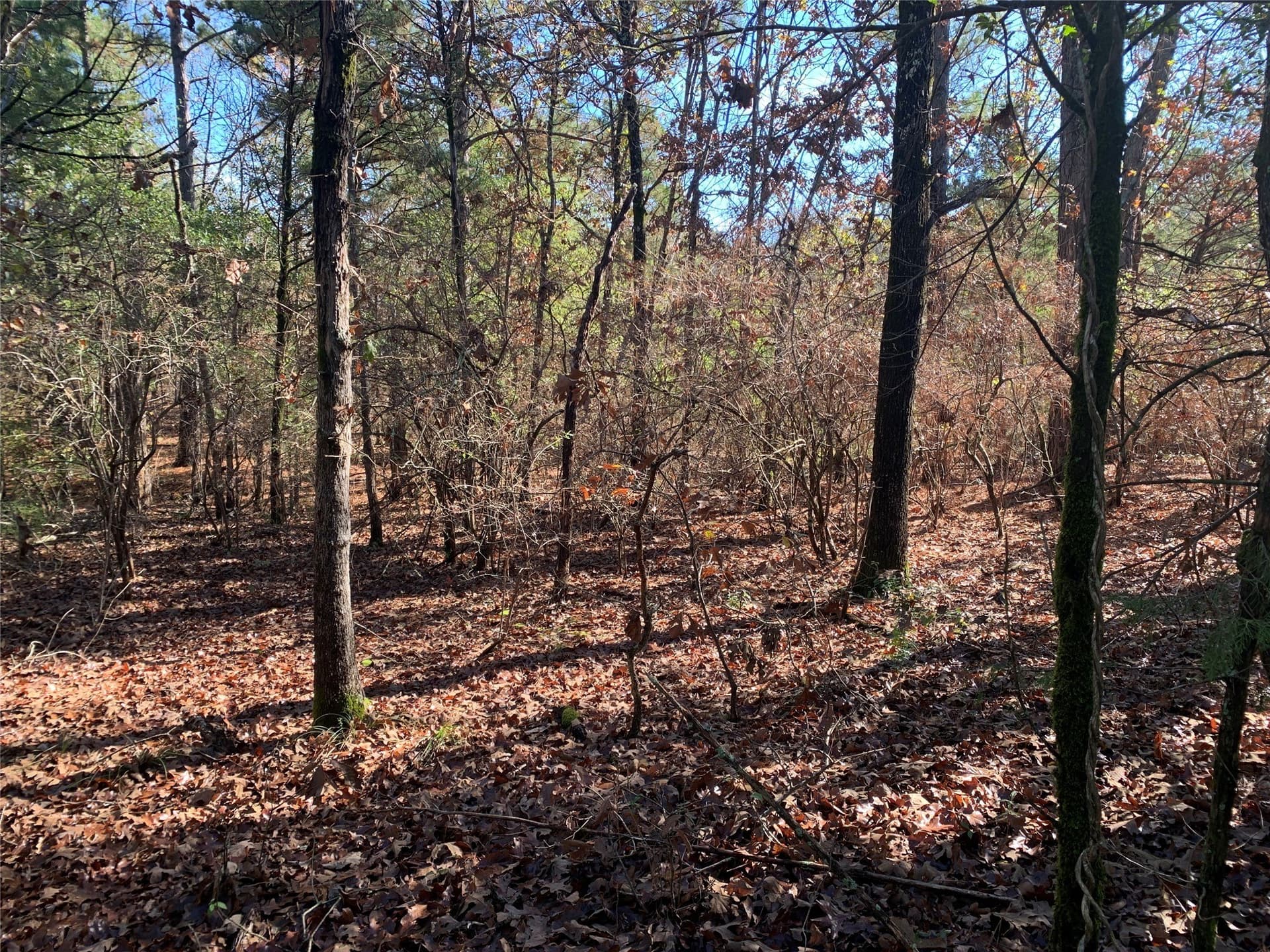 1.13 acres in Henderson County - photo 11