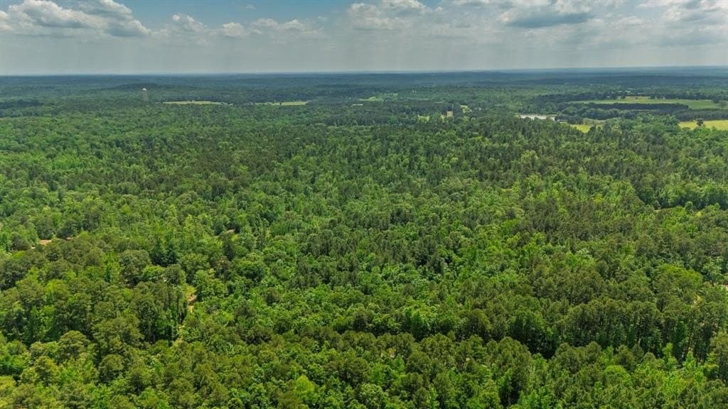 13.22 acres in Wood County gallery image 3