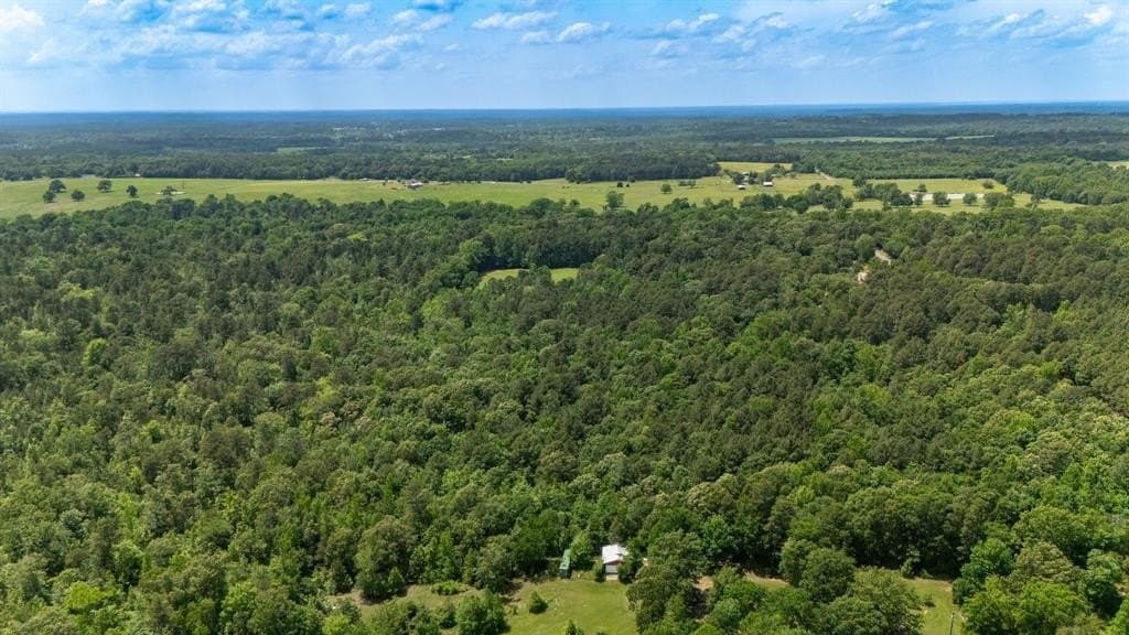 13.22 acres in Wood County gallery image 4