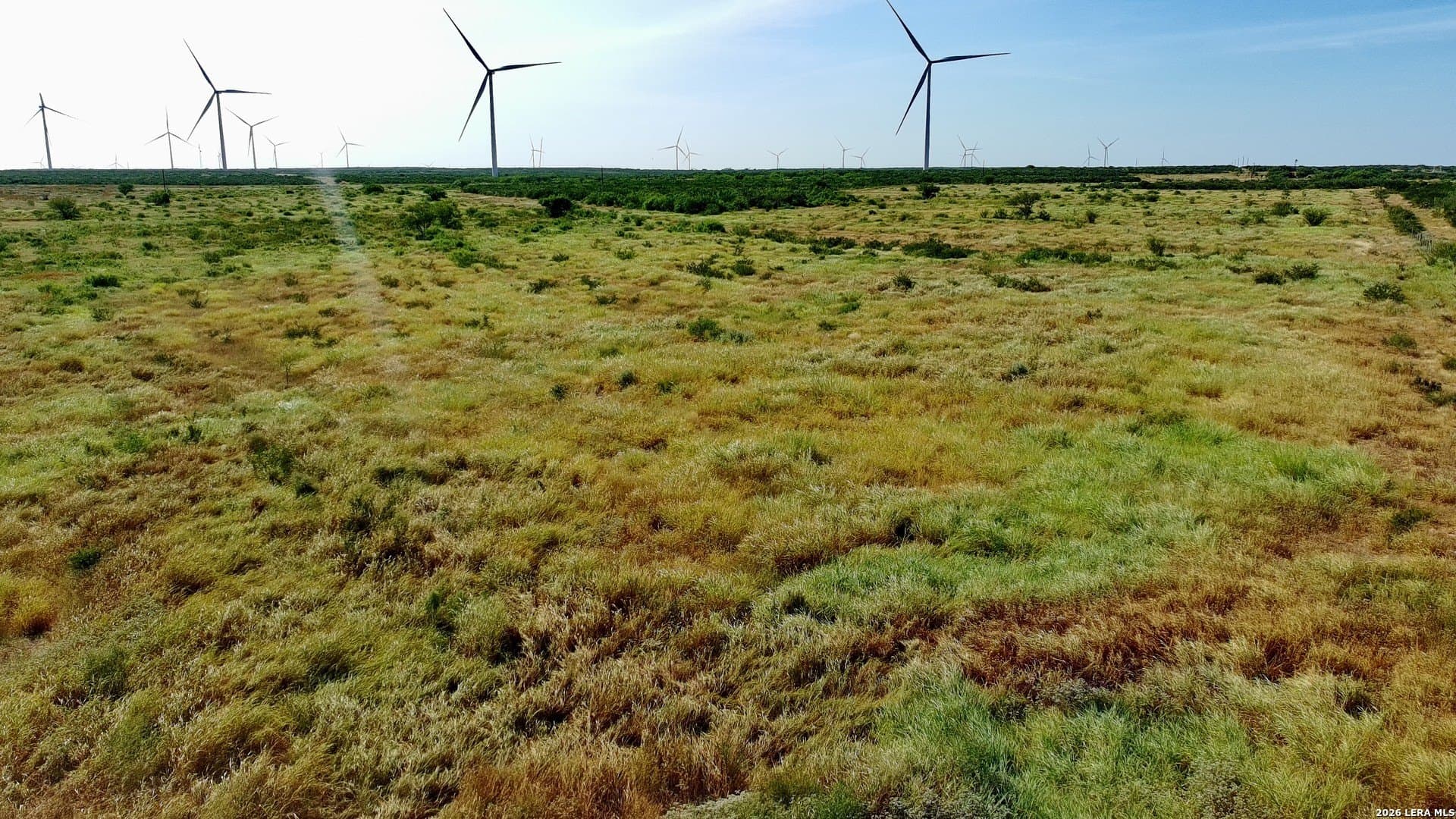 43.1 acres in Webb County - photo 2