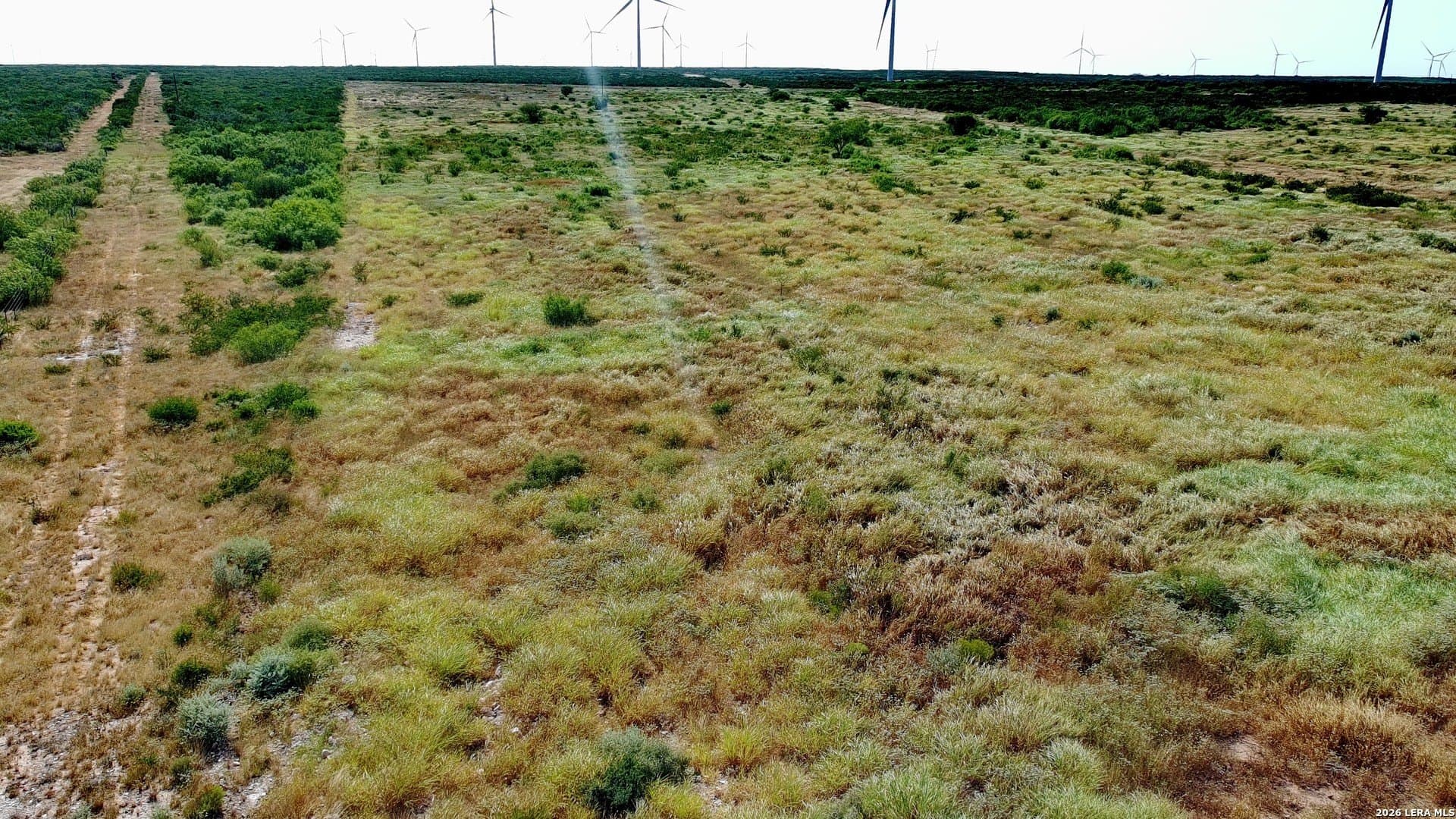 43.1 acres in Webb County - photo 6