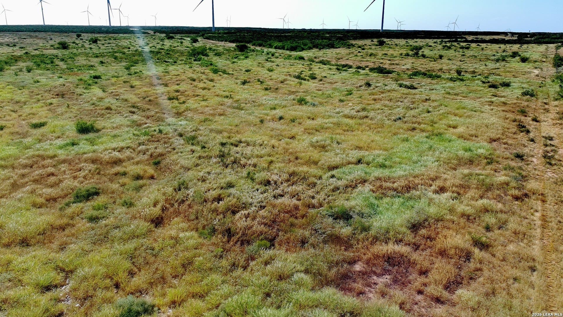 43.1 acres in Webb County - photo 5