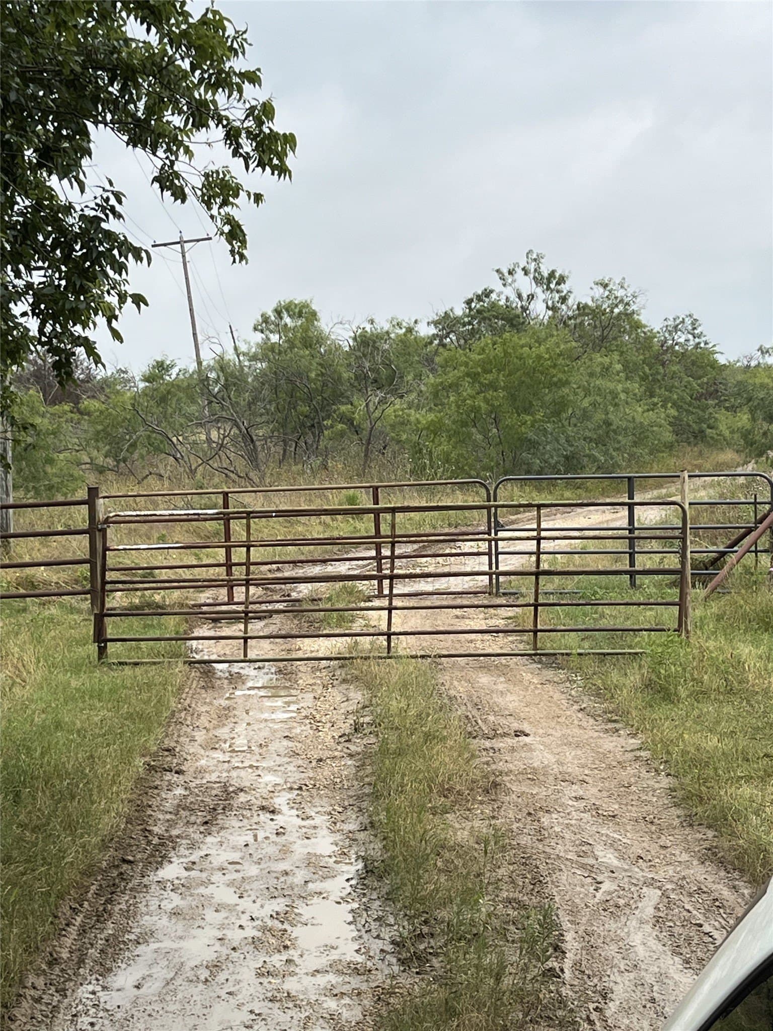 45.05 acres in Limestone County - photo 6