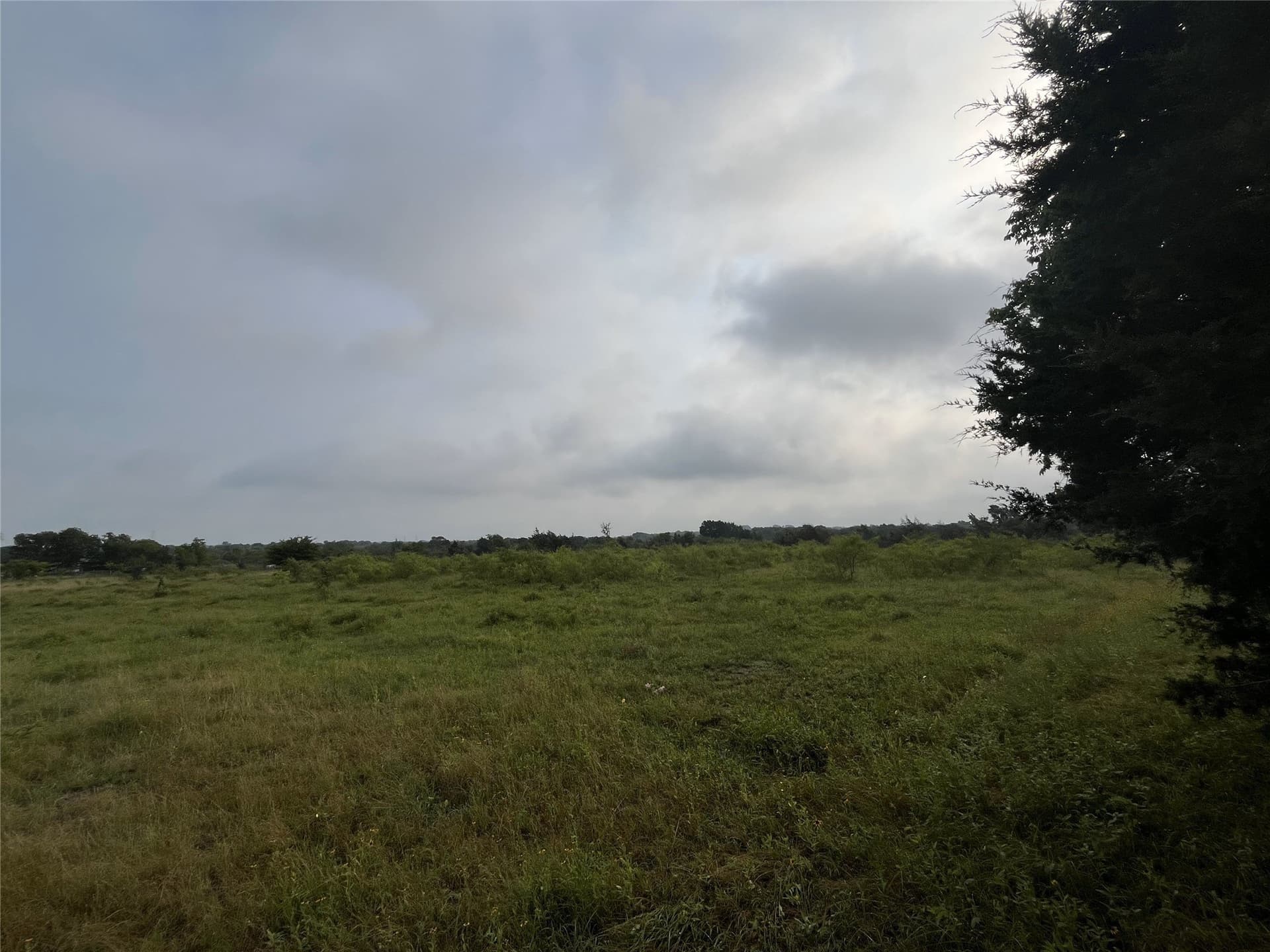 45.05 acres in Limestone County