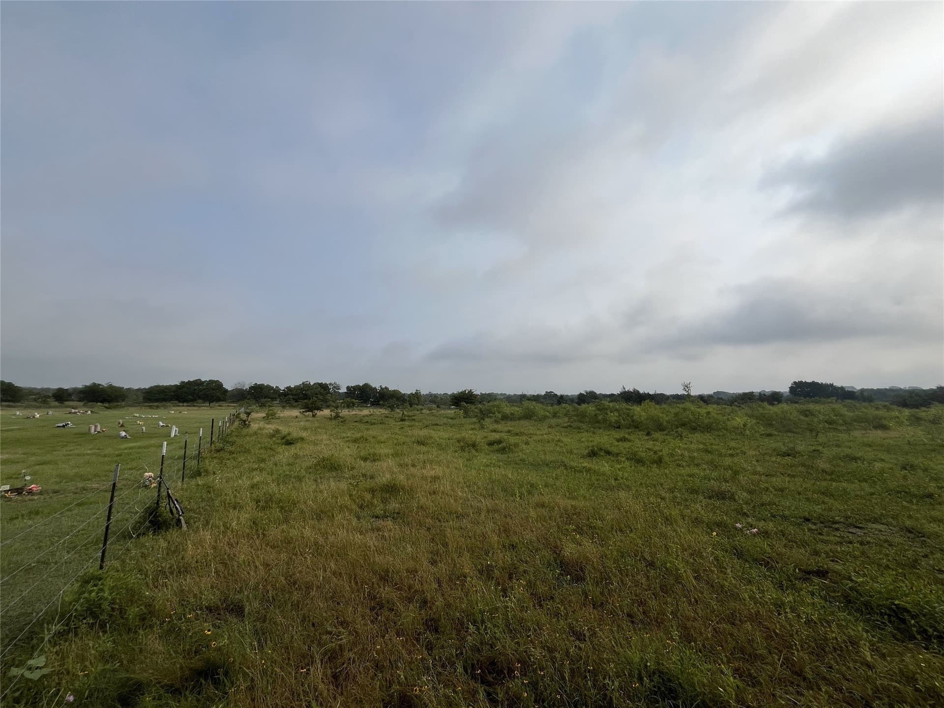 45.05 acres in Limestone County - photo 2