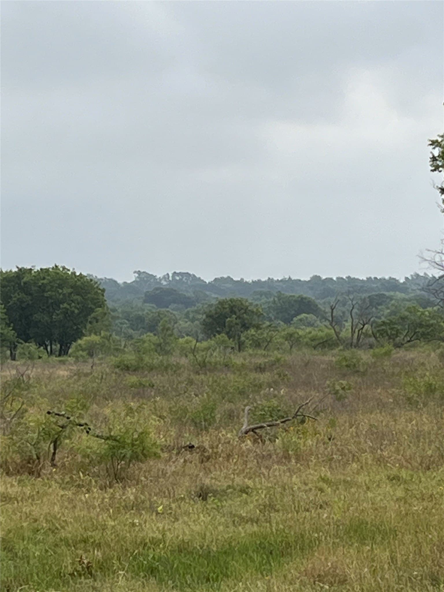 45.05 acres in Limestone County - photo 4