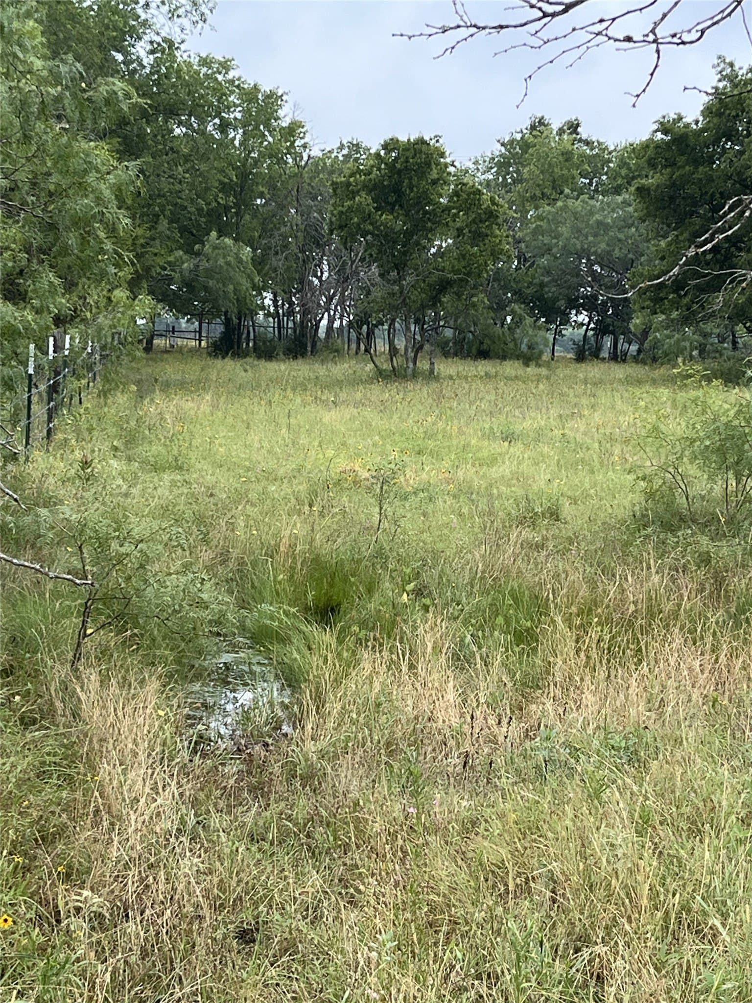 45.05 acres in Limestone County - photo 7