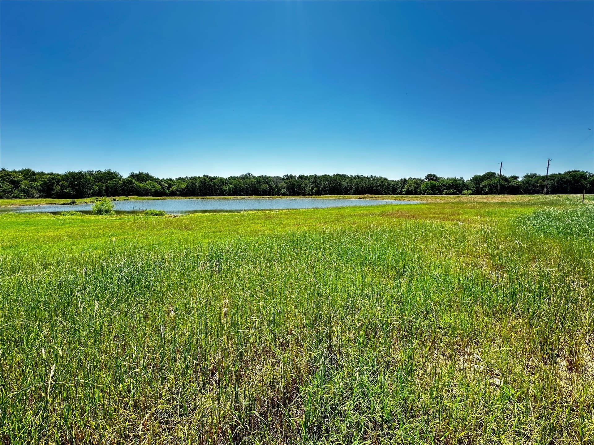 13.13 acres in Navarro County