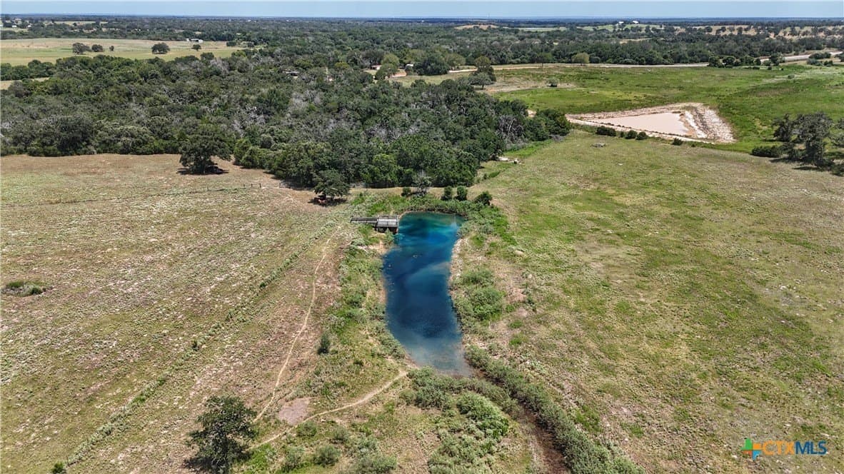 32.14 acres in Gonzales County gallery image 3